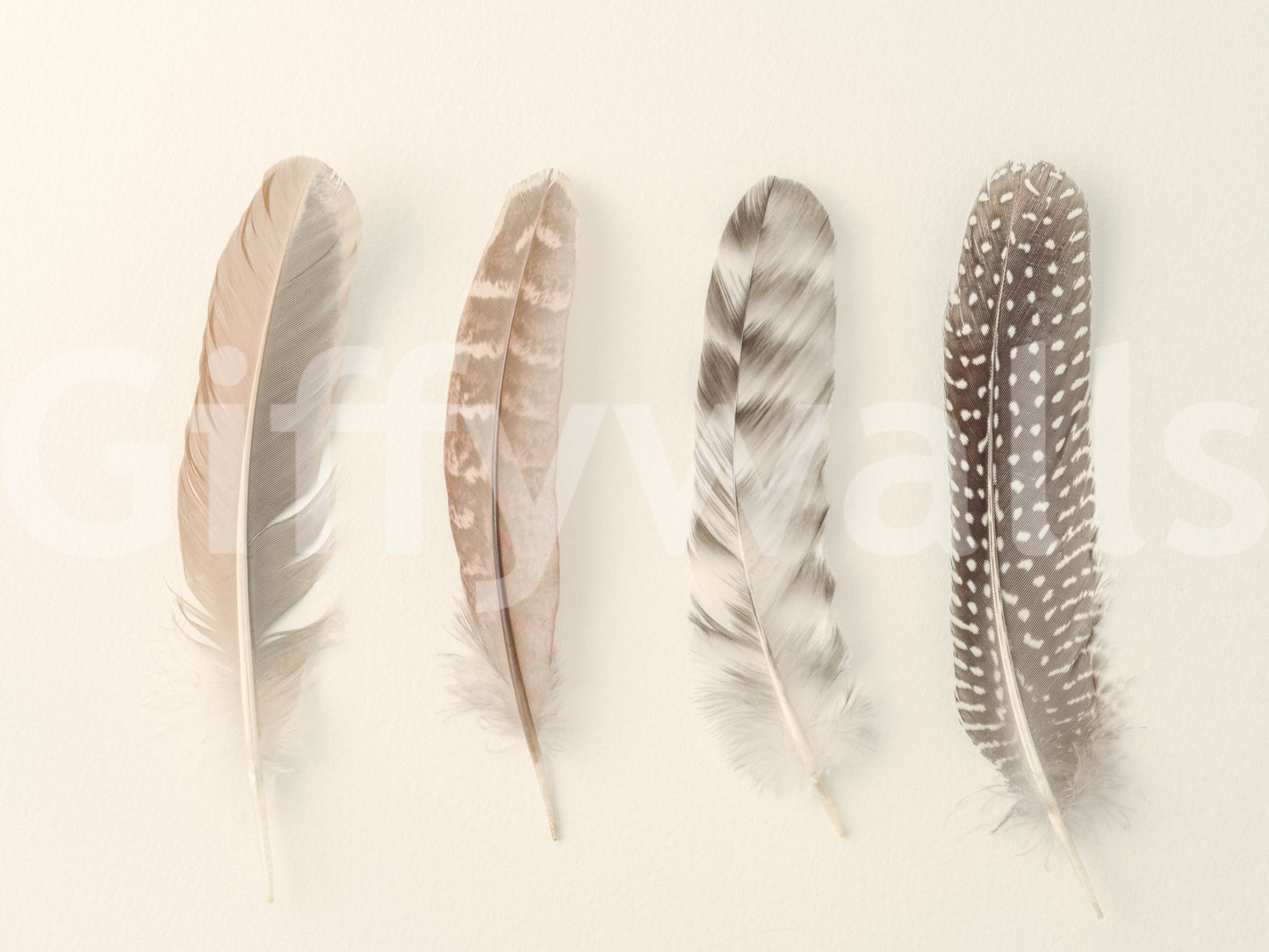 Grounded and calming aesthetic.