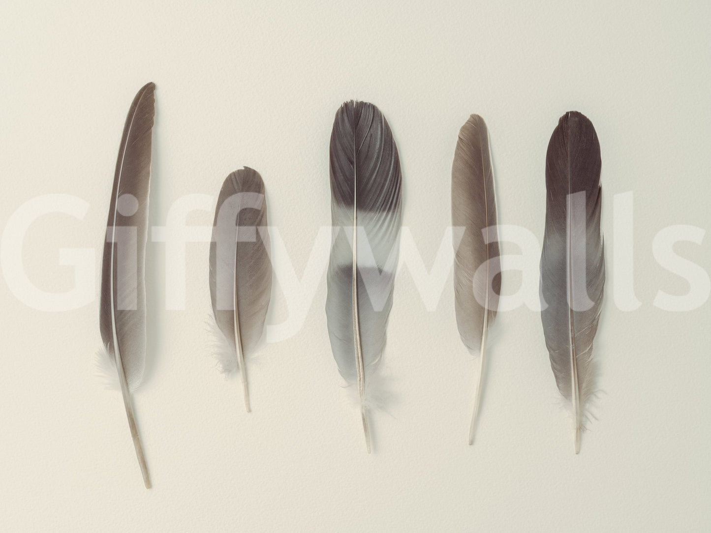 Ideal for adding a touch of natural elegance to interiors.