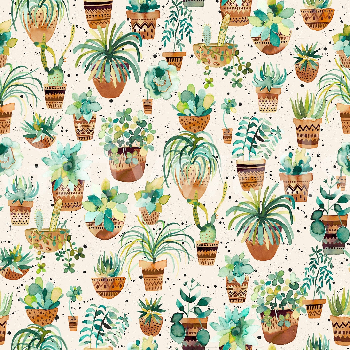 Succulent Home Pots Plants Wallpaper