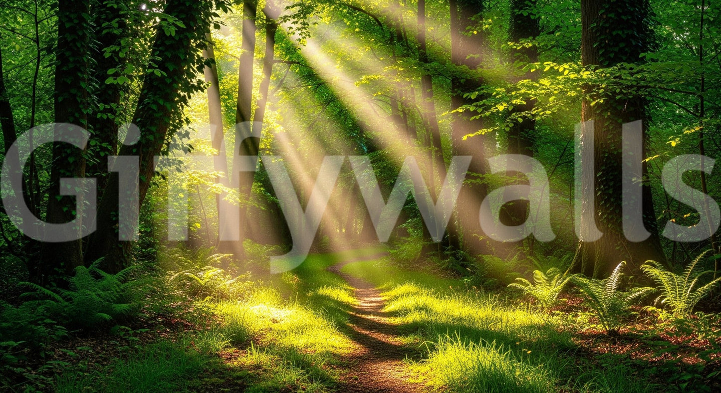 Sunlit Path Wall Mural wallpaper mural for a nursery feature wall.
