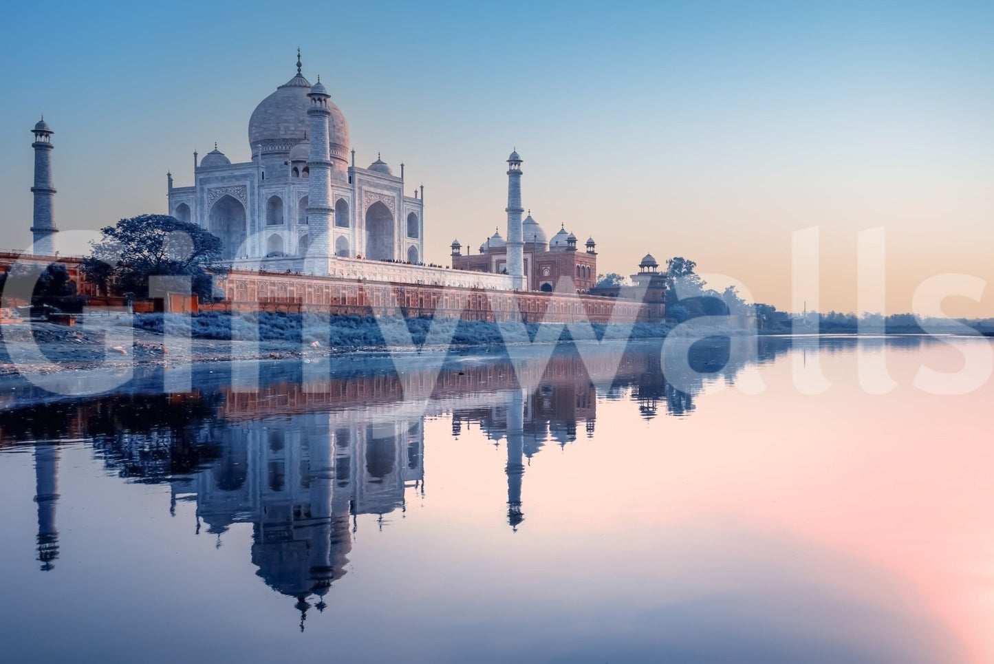 Taj Mahal Dream Wall Mural