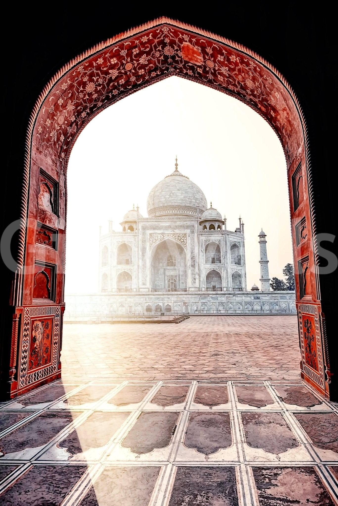 Taj Mahal Vista Wall Mural