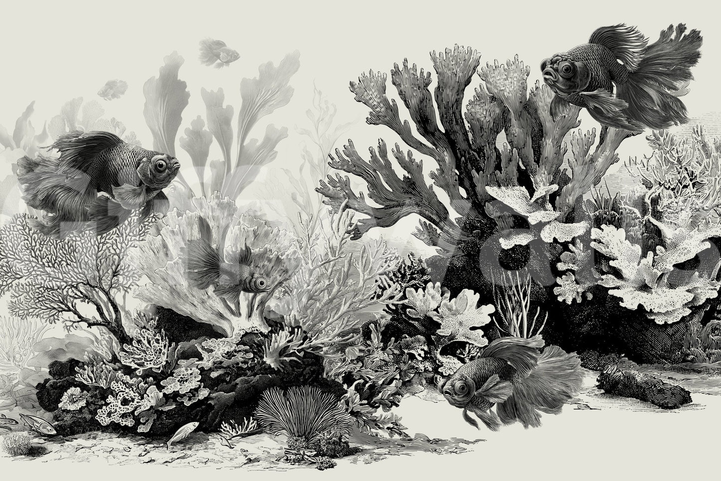 Fine line black ink drawing of oceanic plants.