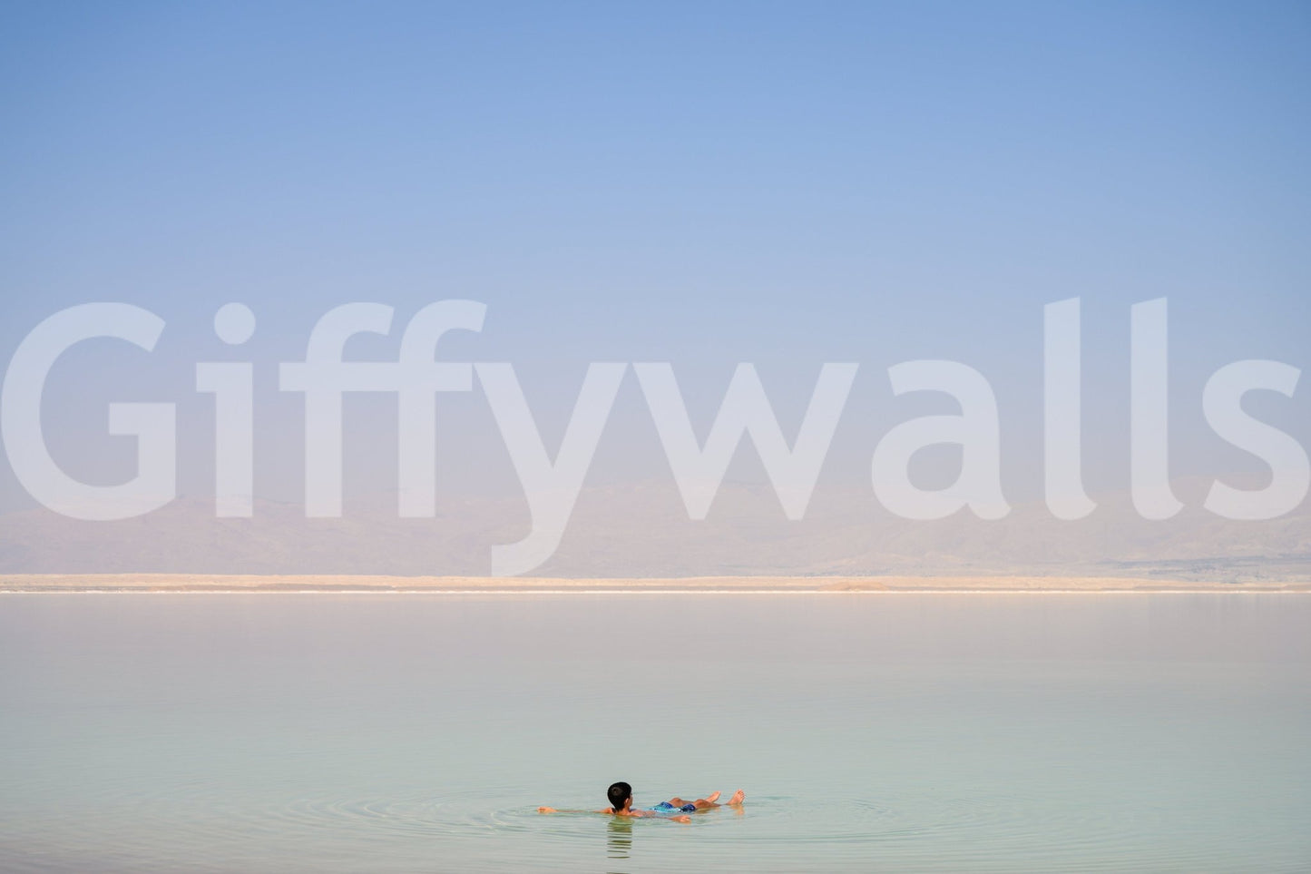 A high-quality serene beach wall mural for walls.