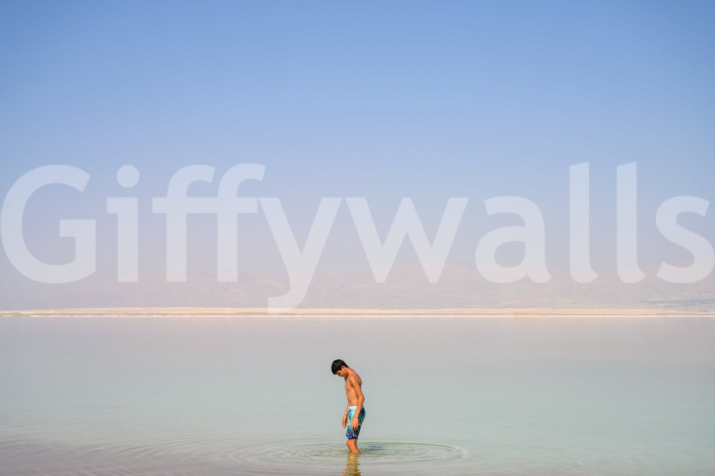 A high-quality serene landscape wall mural for walls., GD4698