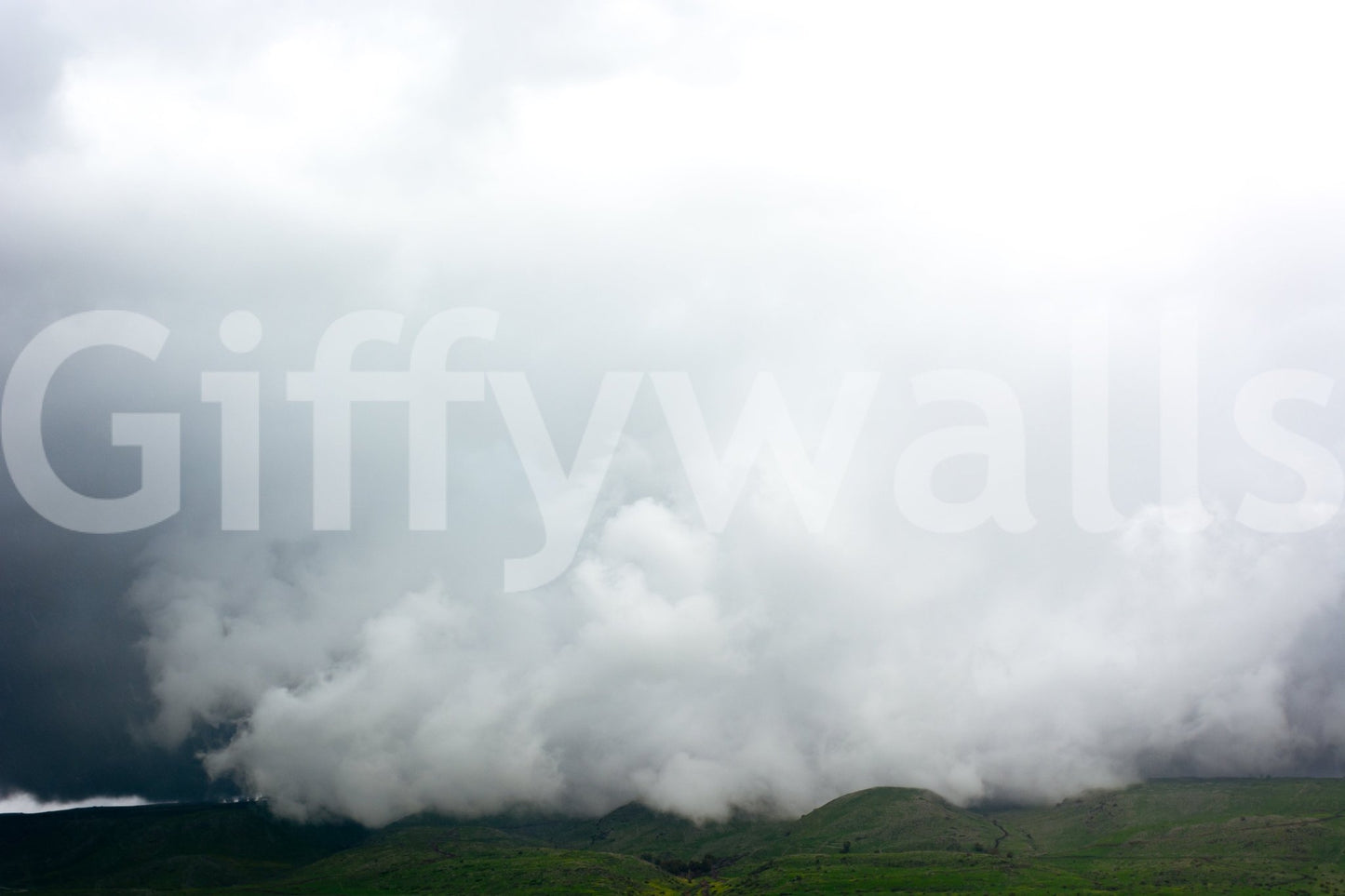 A high-quality peaceful reserve wall mural for walls.