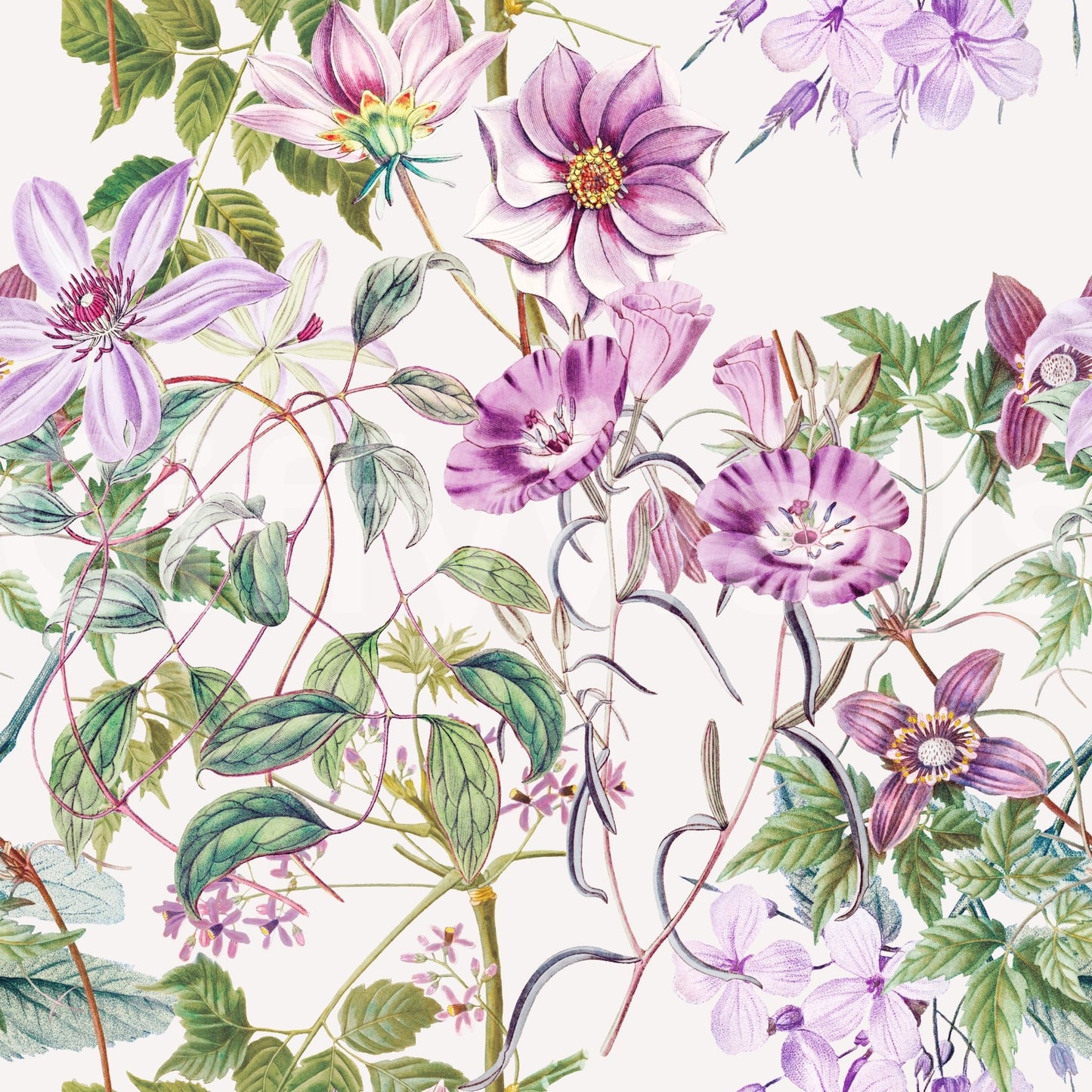 Timeless Blooming wallpaper with garden flowers and trailing green foliage