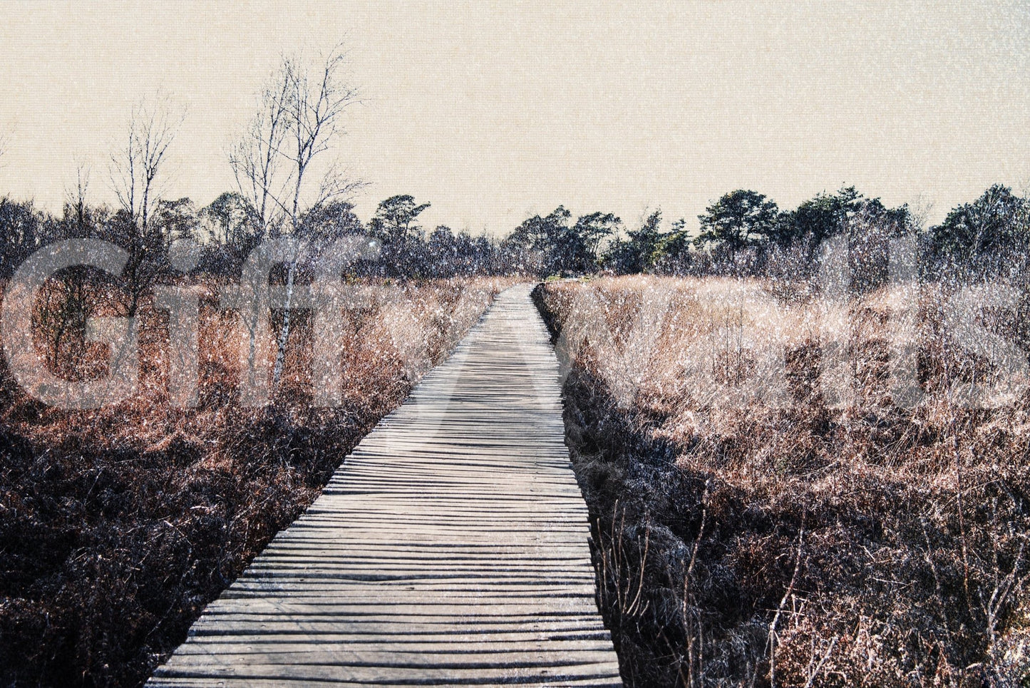 Nature inspired wall mural with a walking path for a serene home.