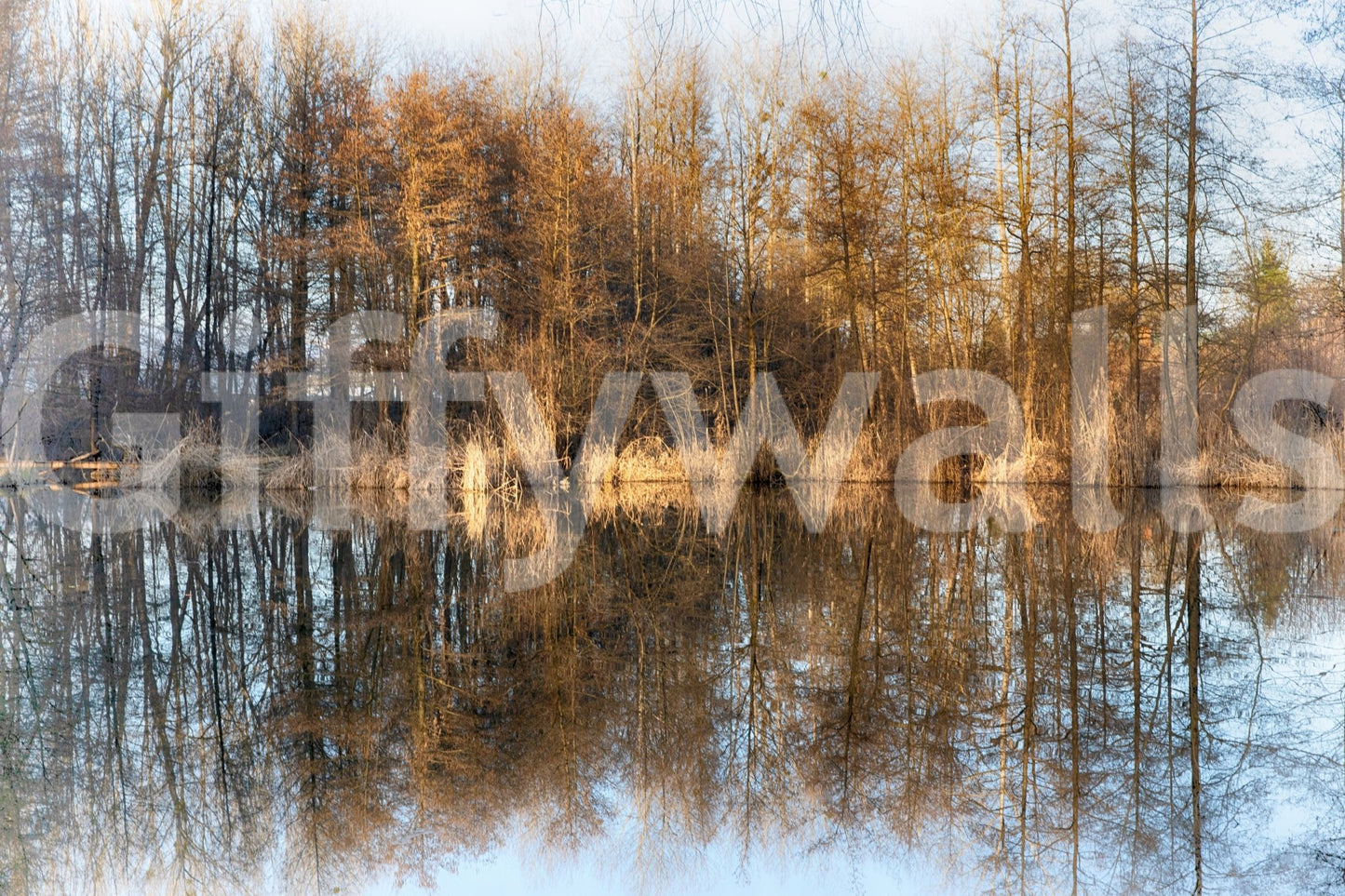 The Tranquil Reflection mural gives the space a quiet and natural feel.