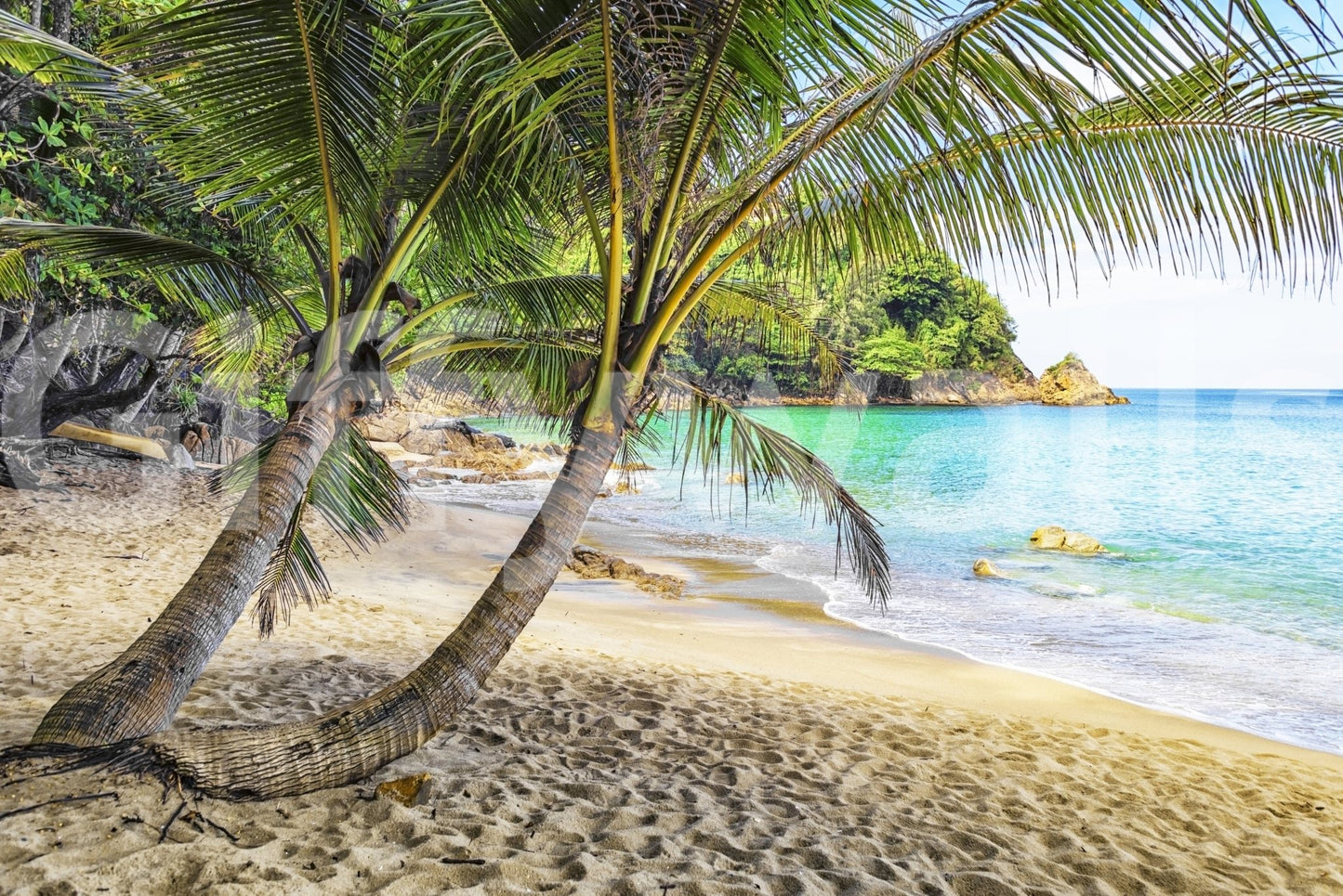 Tropical Beach Escape Wall Mural with curved palms above a bright sandy shoreline