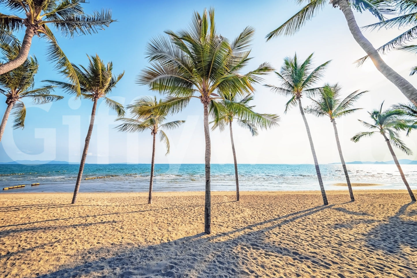 Tropical paradise wall mural for home office.