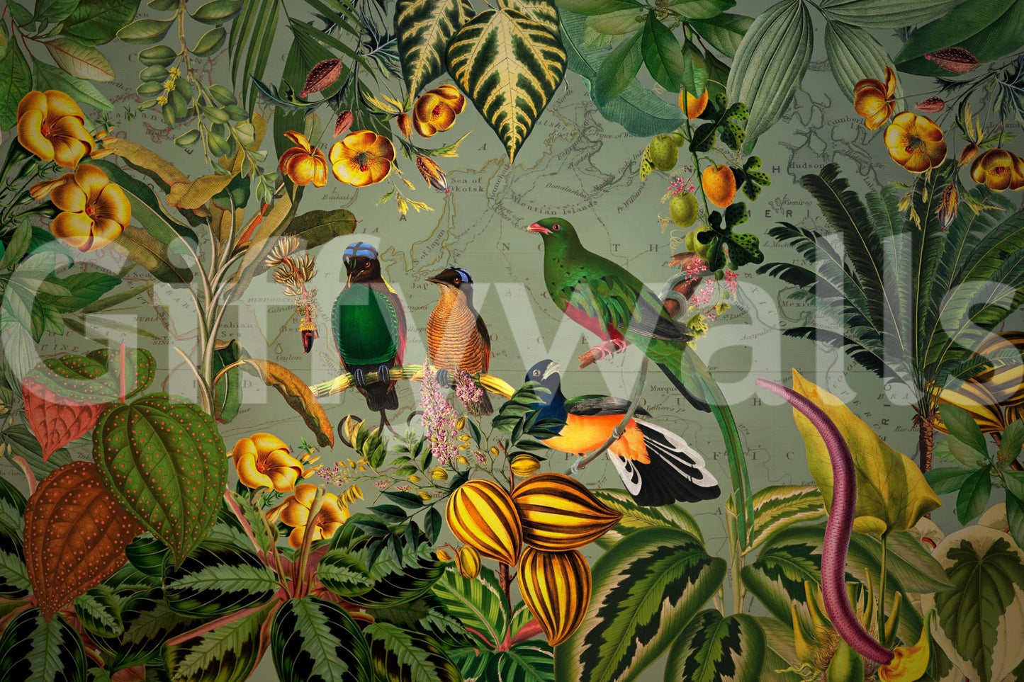 Lush plants and birds define Tropical Explorers' Chart wall mural scene