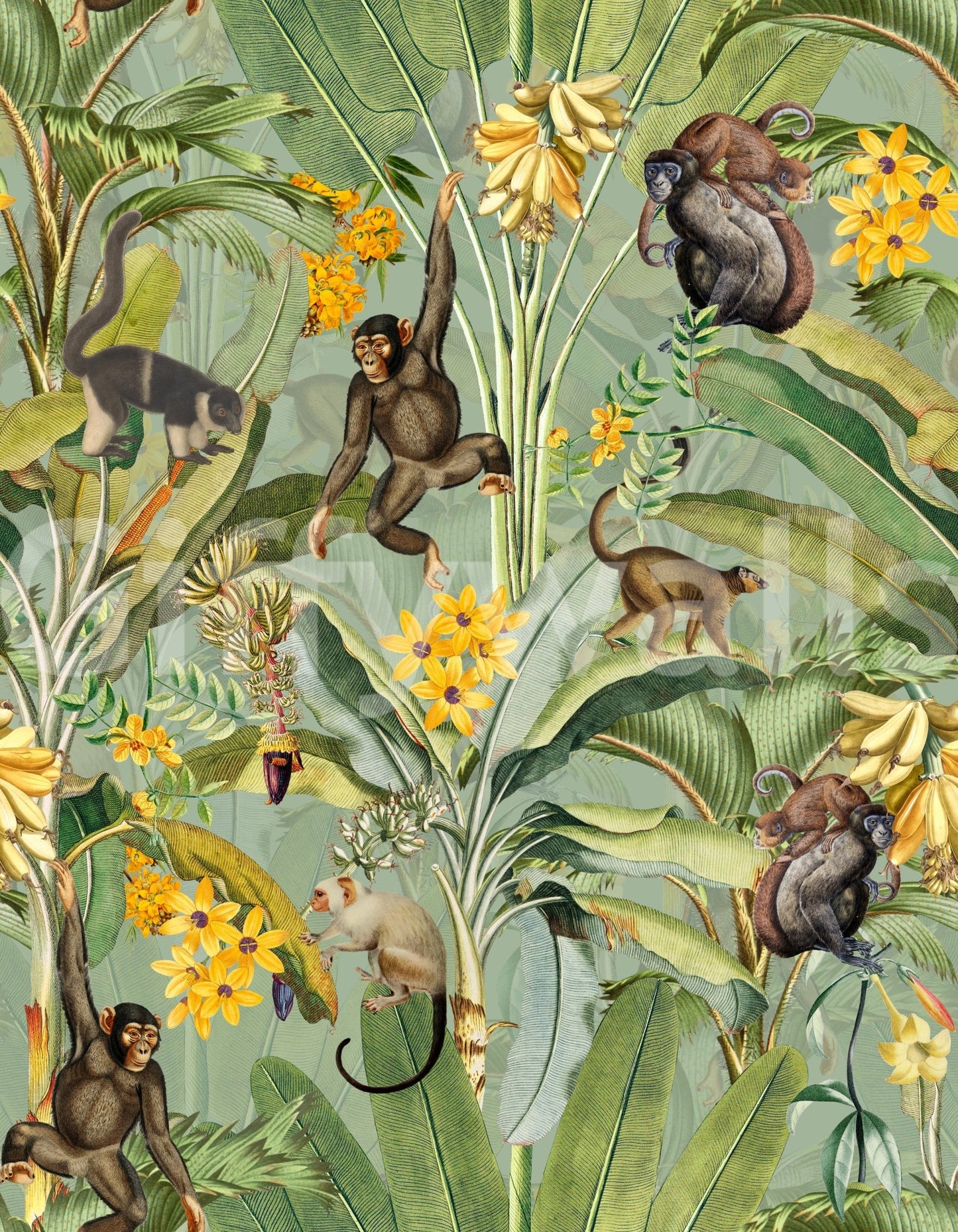 Tropical Monkey Business Wallpaper
