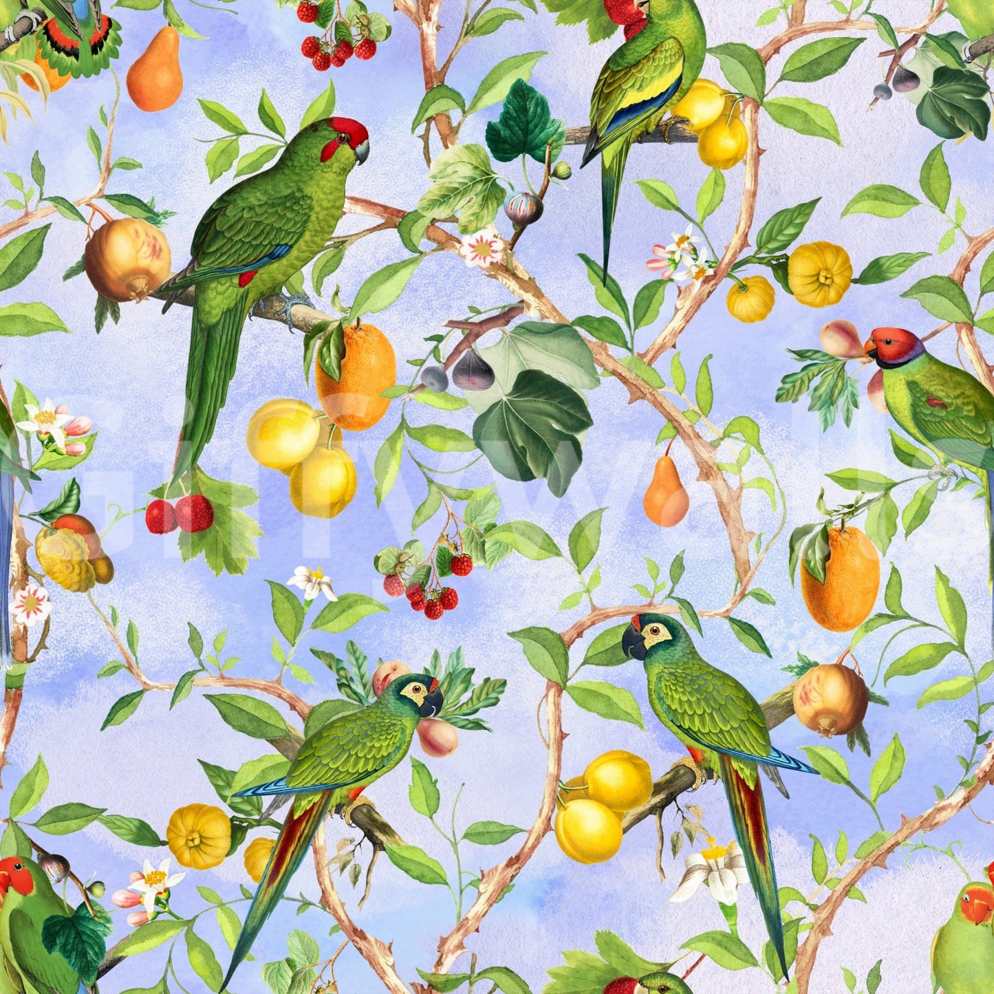 Tropical birds wall mural for vibrant interiors