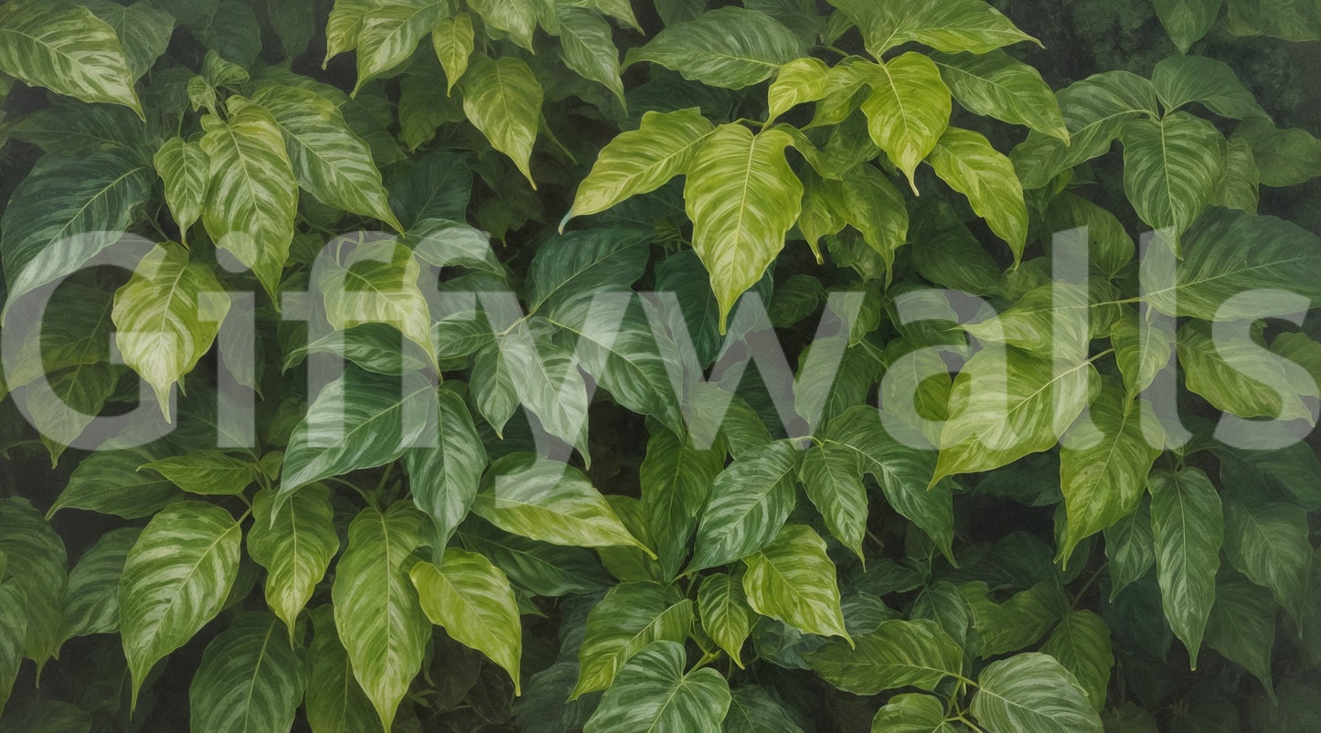 The overall scene feels like a quiet, natural sanctuary.