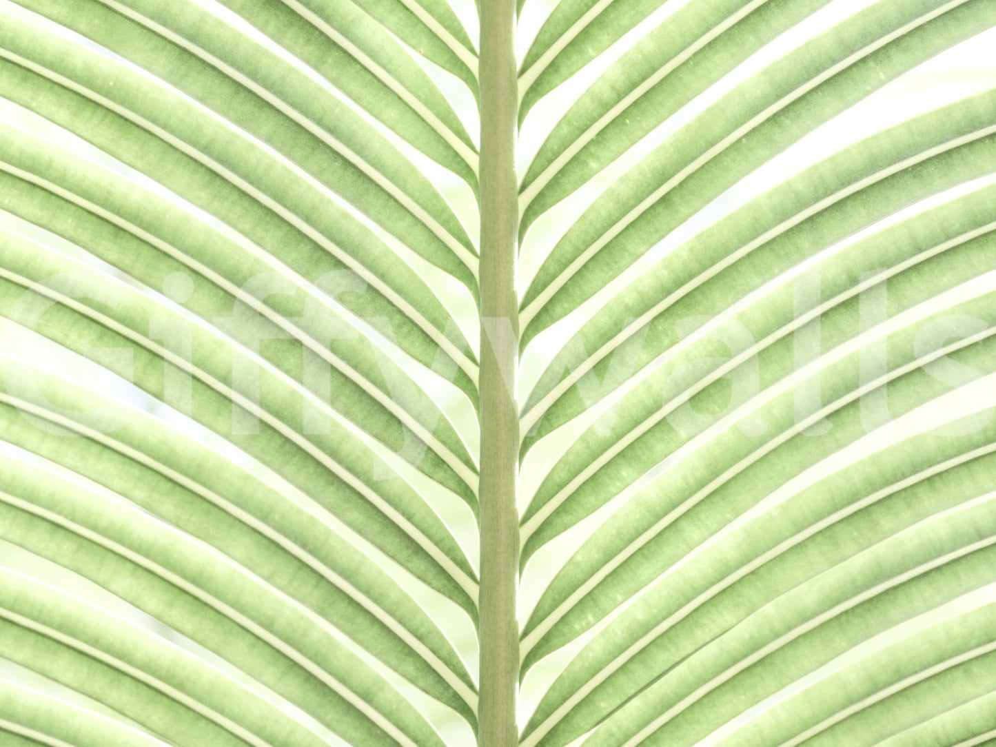 Wall decor evoking vibrant plant life.