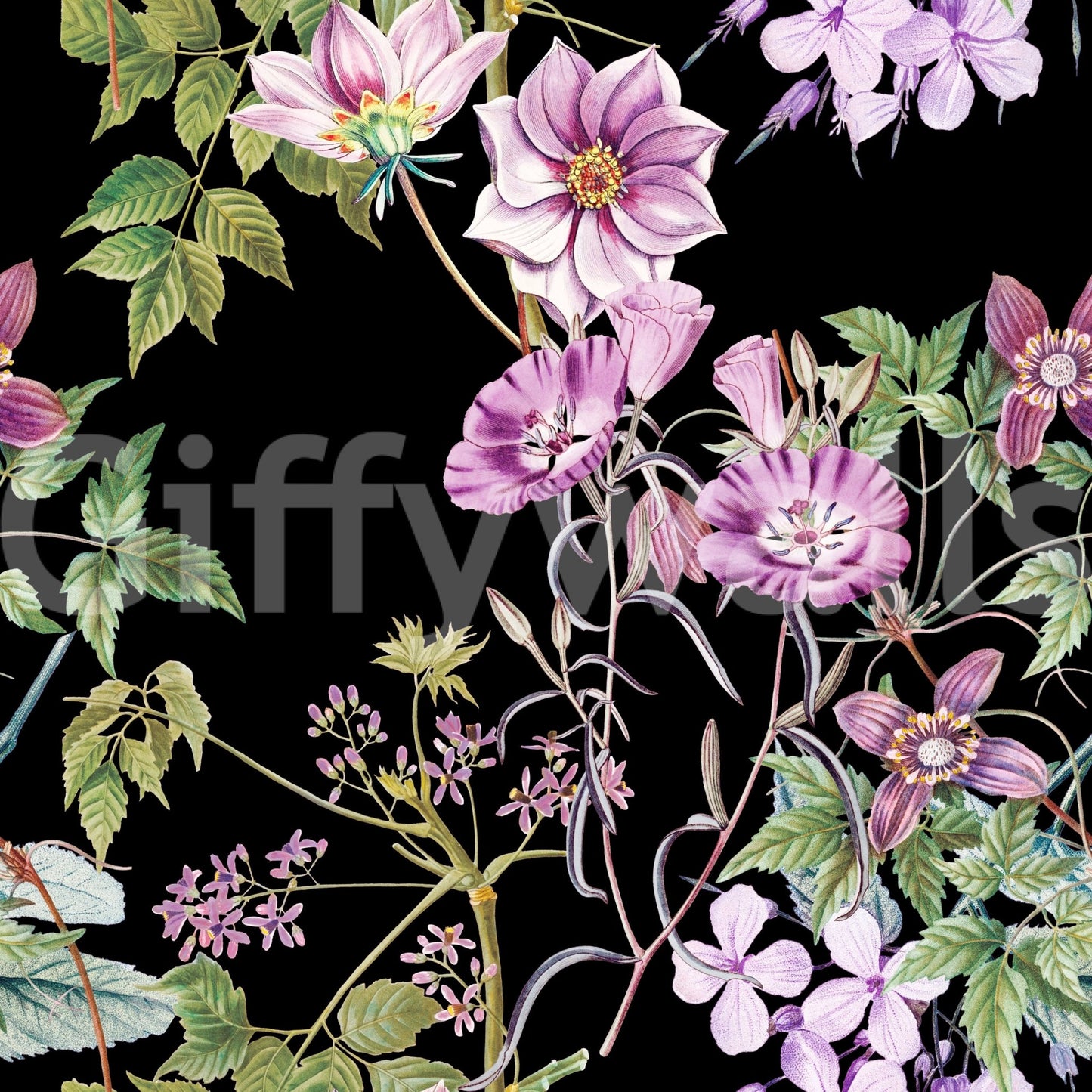 Black botanical wallpaper with Victorian Vine detailing and lilac petals