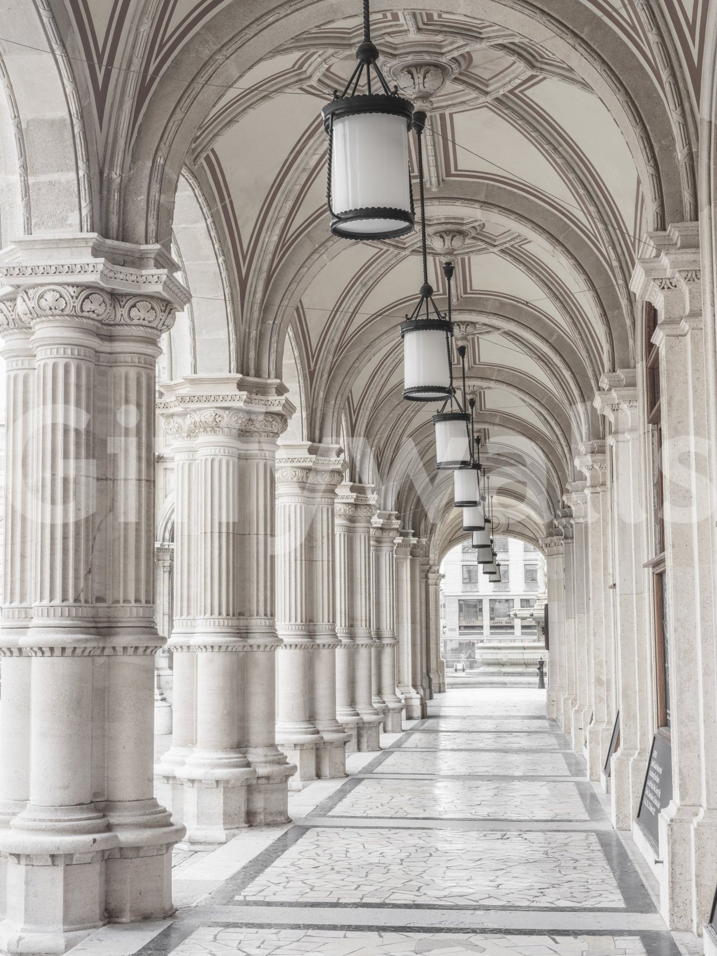 Vienna Opera House Wall Mural