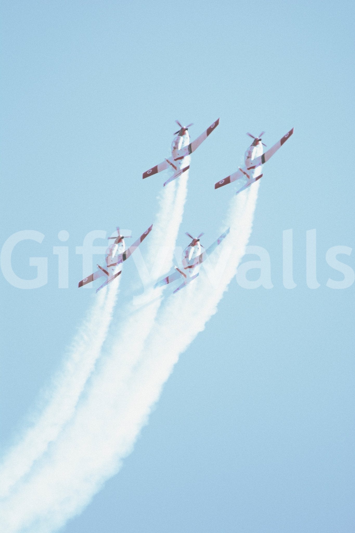 Vintage IAF I Wall Mural