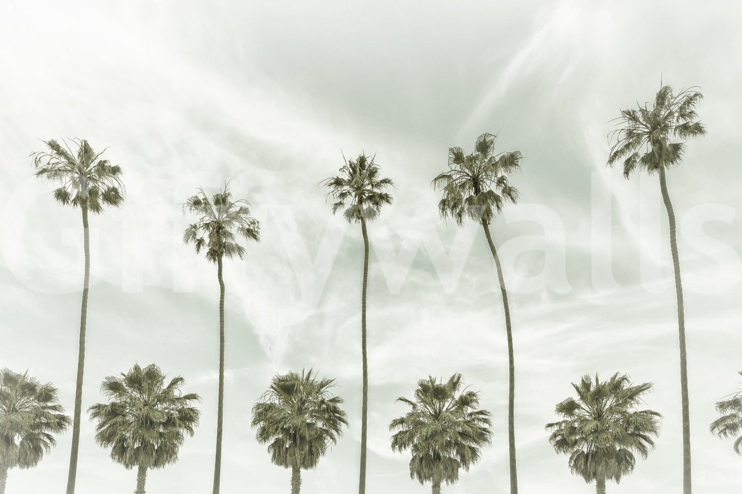 Boho-style mural with vintage palm trees and warm sunlight.