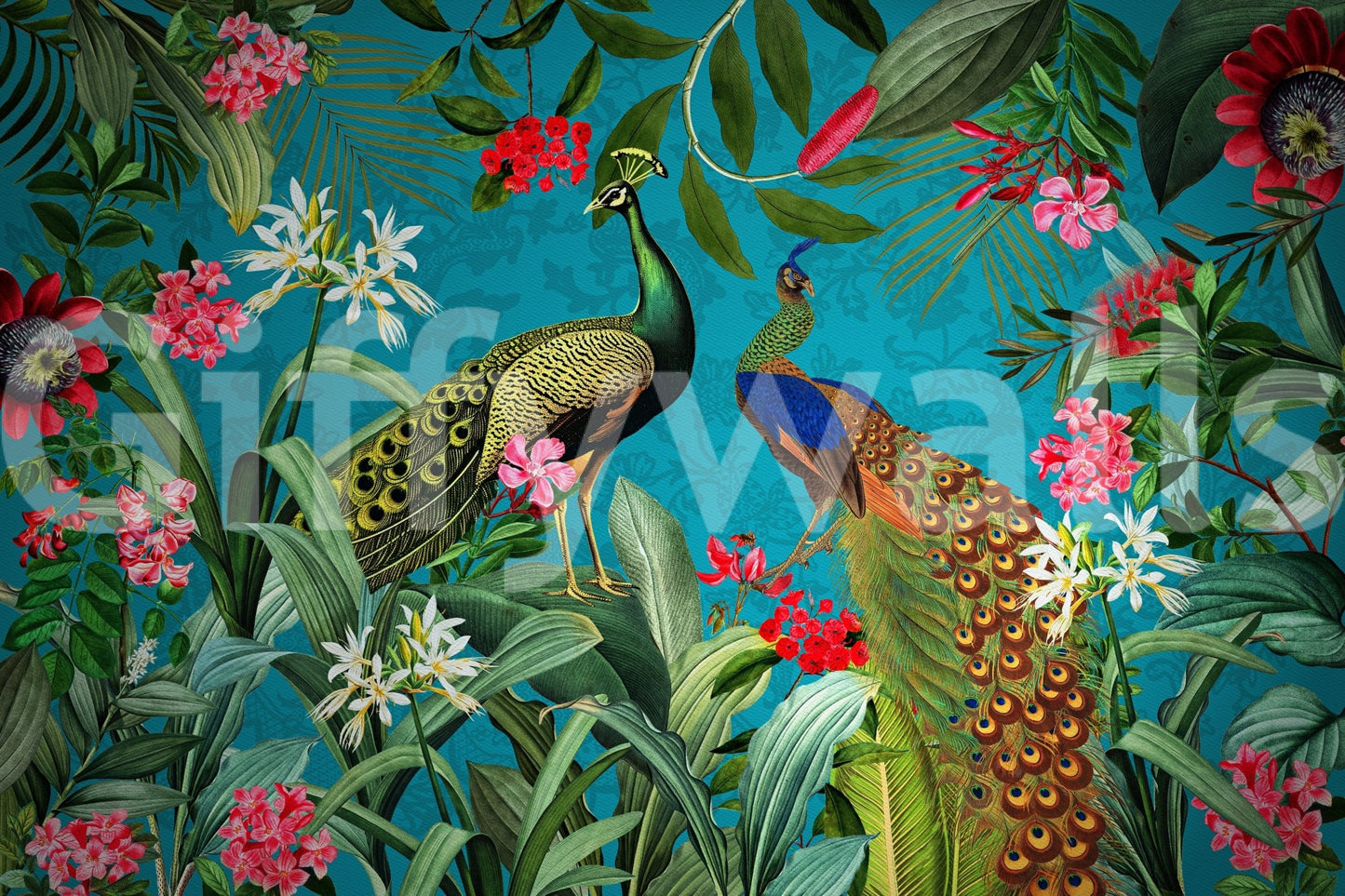 Timeless vintage peacock mural to elevate your space.