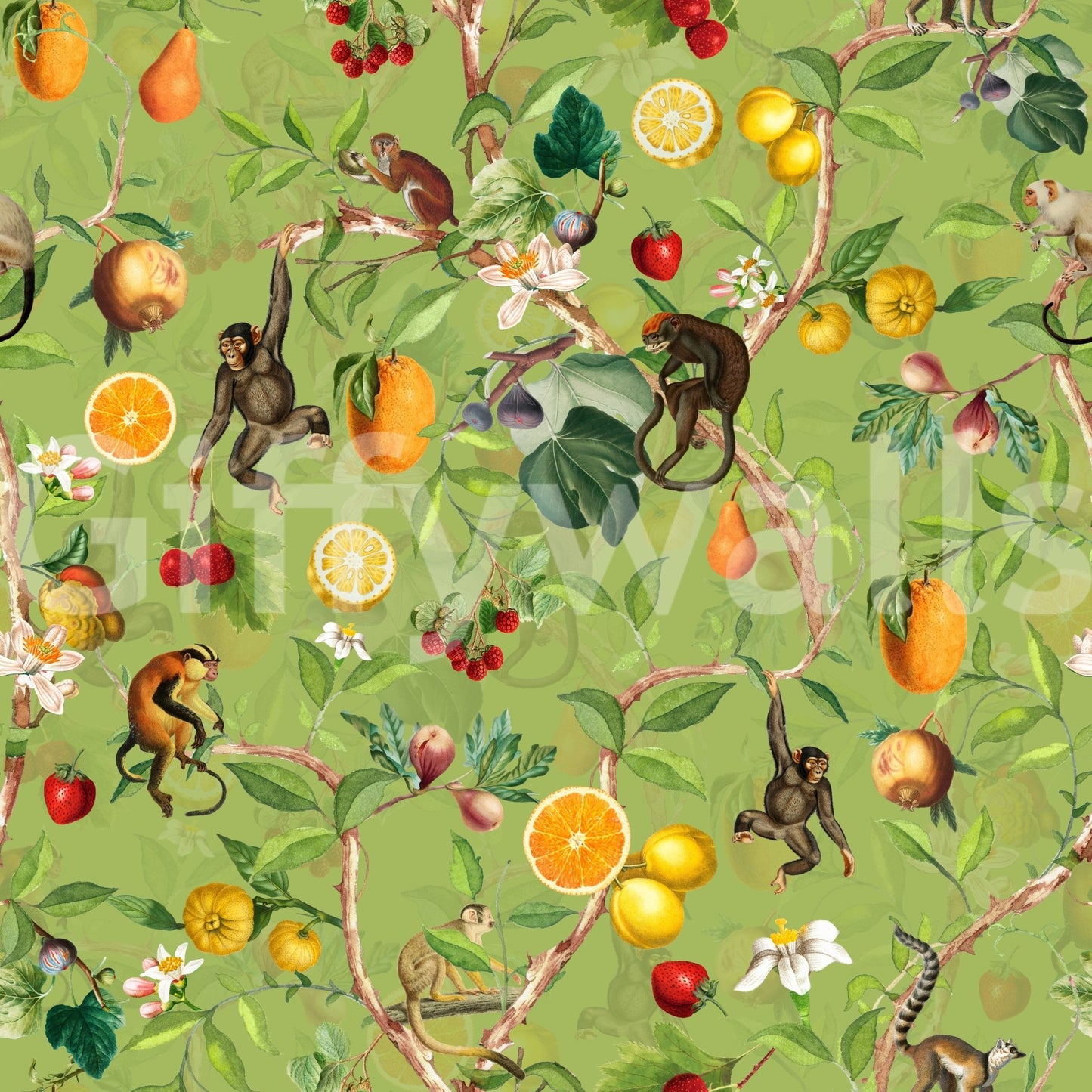 Retro wallpaper with monkeys and exotic plants design