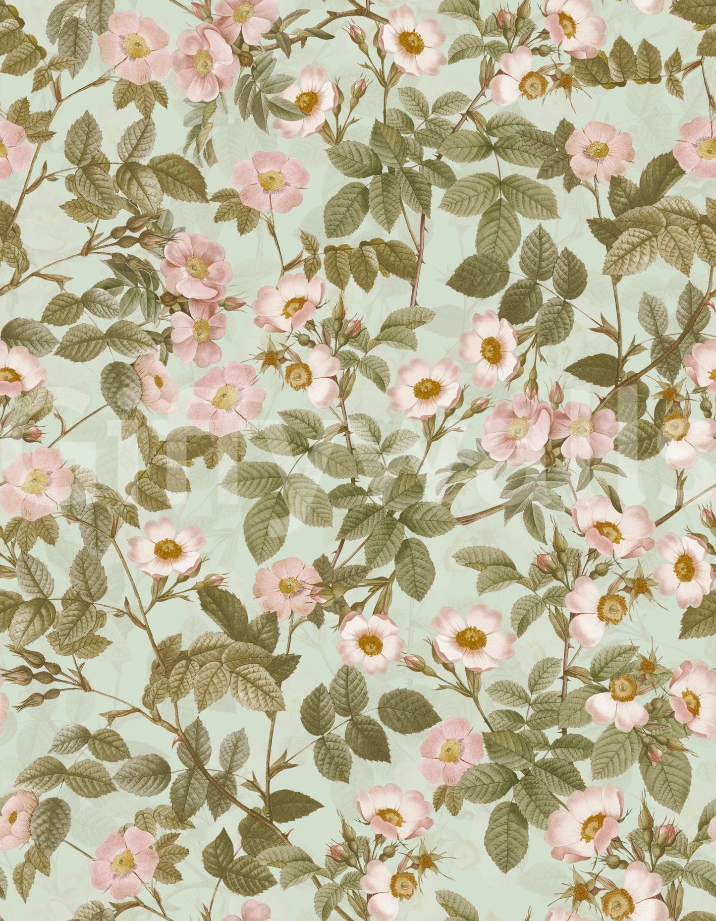 Subtle pink rose wallpaper for a vintage, classic look., GD1340