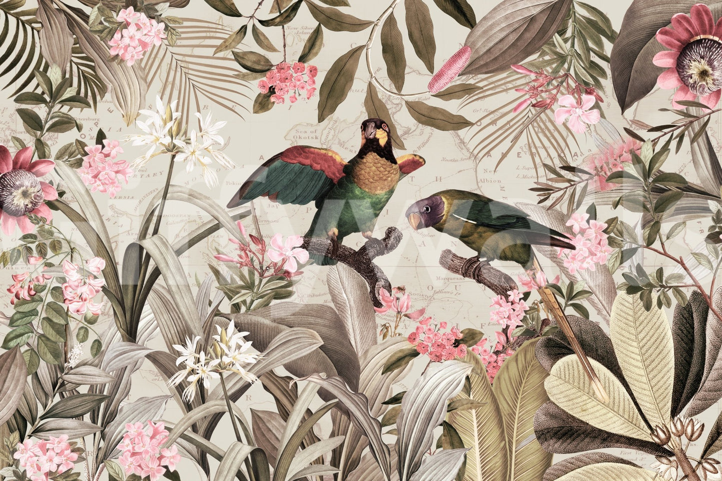 Vintage Voyage In Tropical Rainforest Wall Mural