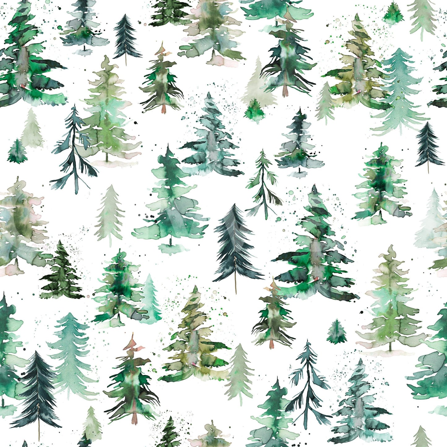 Elegant watercolor forest trees with spruces