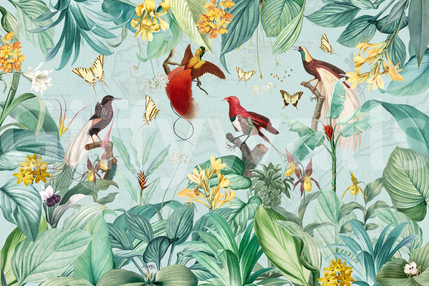 Birds of Paradise Wall Mural