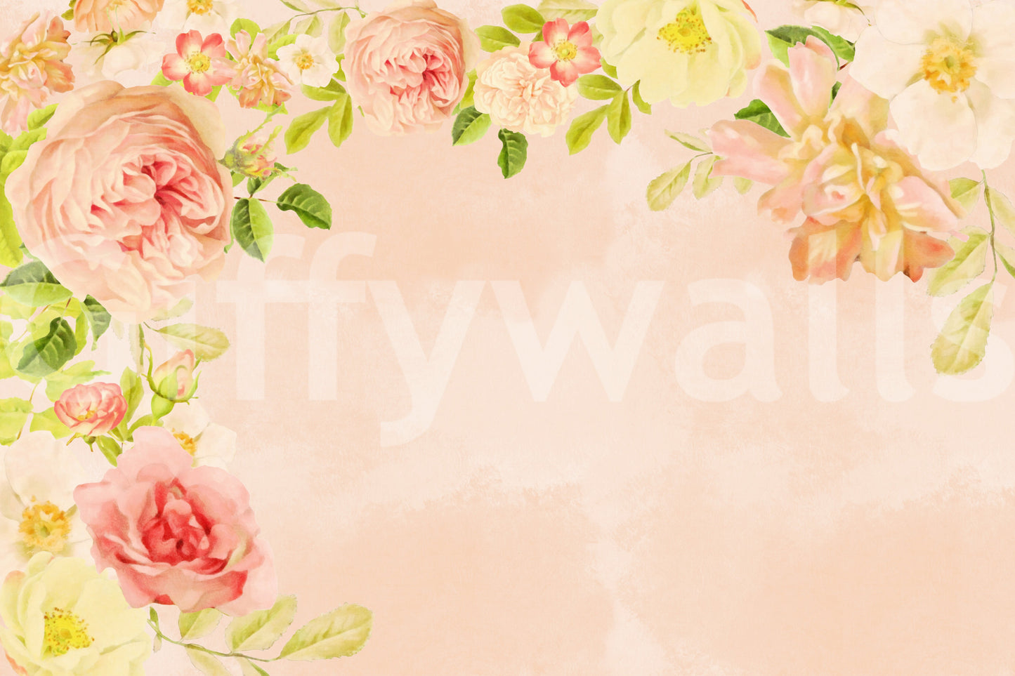 Peachy Keen Roses Wall Mural