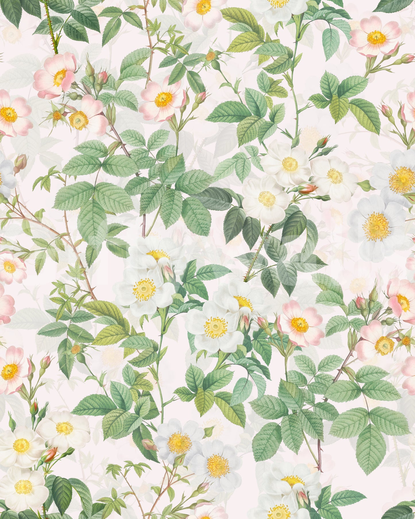 Rose Garden Reverie Wallpaper