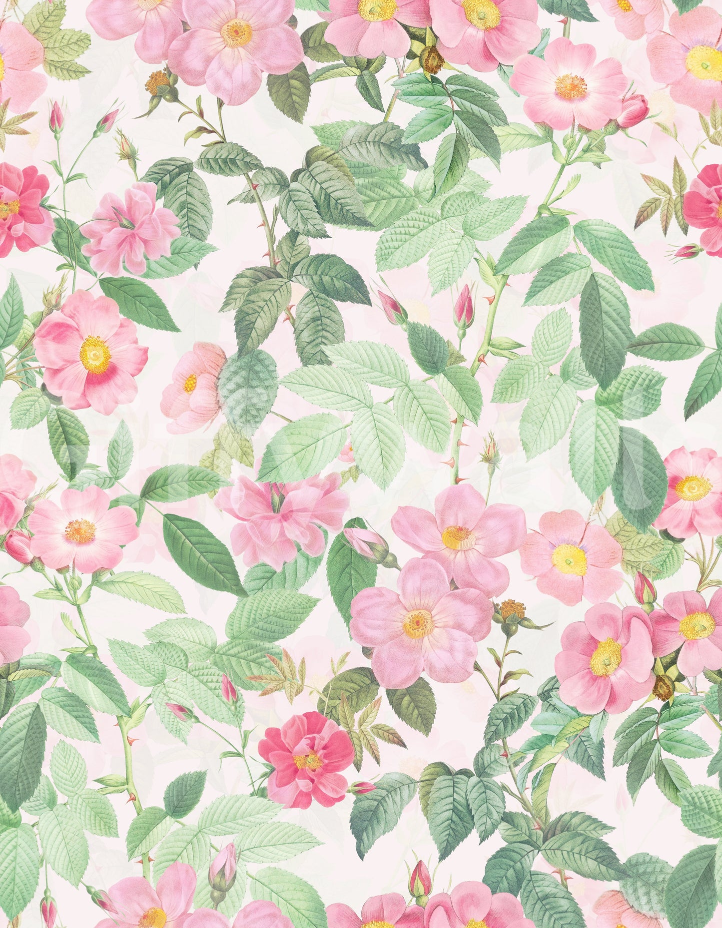 Charming blush rose garden wallpaper for modern spaces