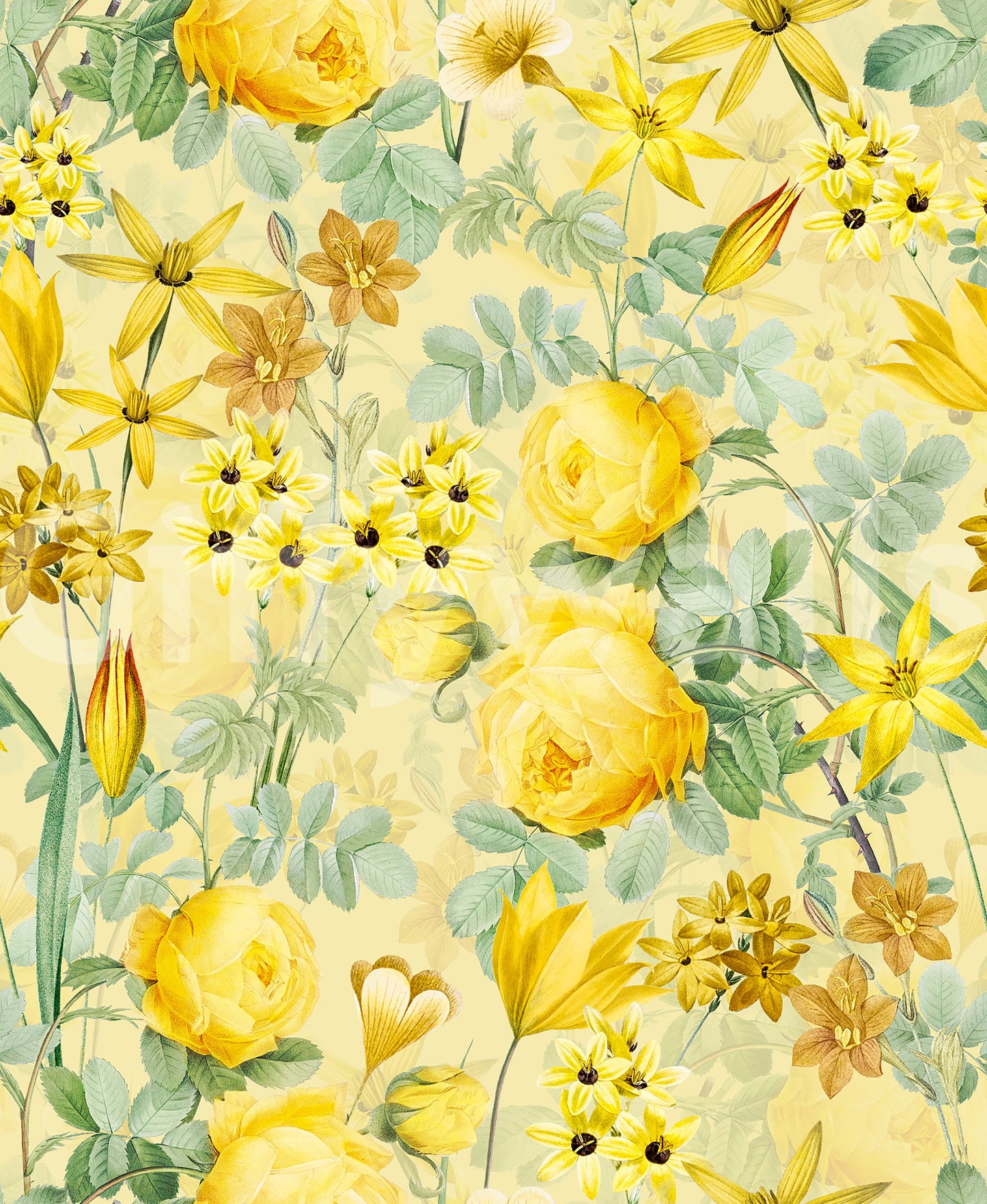 Golden Hour Rose Blooms Wallpaper