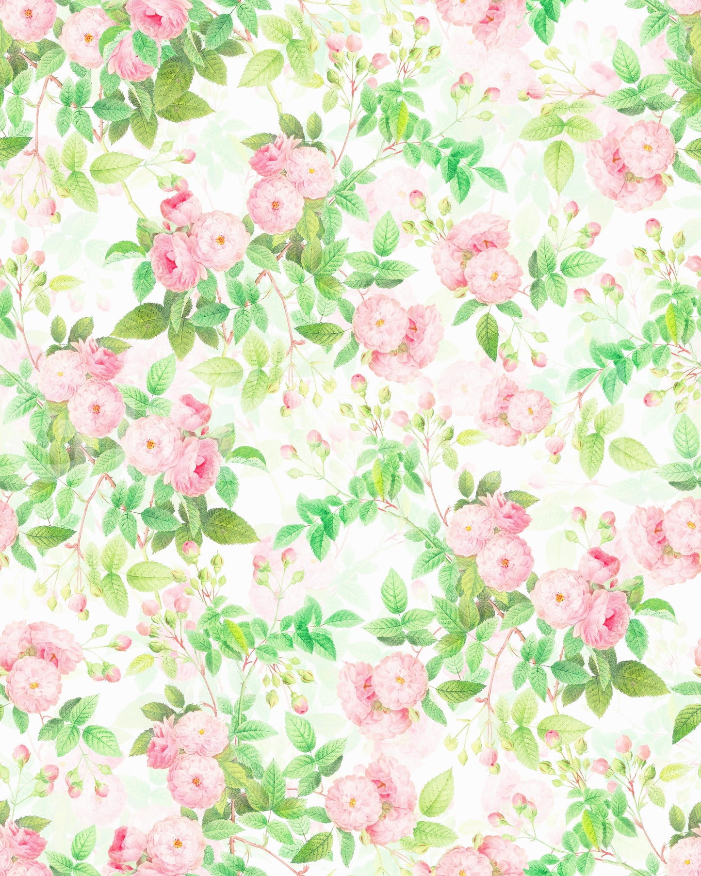 Pink Rose Watercolor Dream Wallpaper