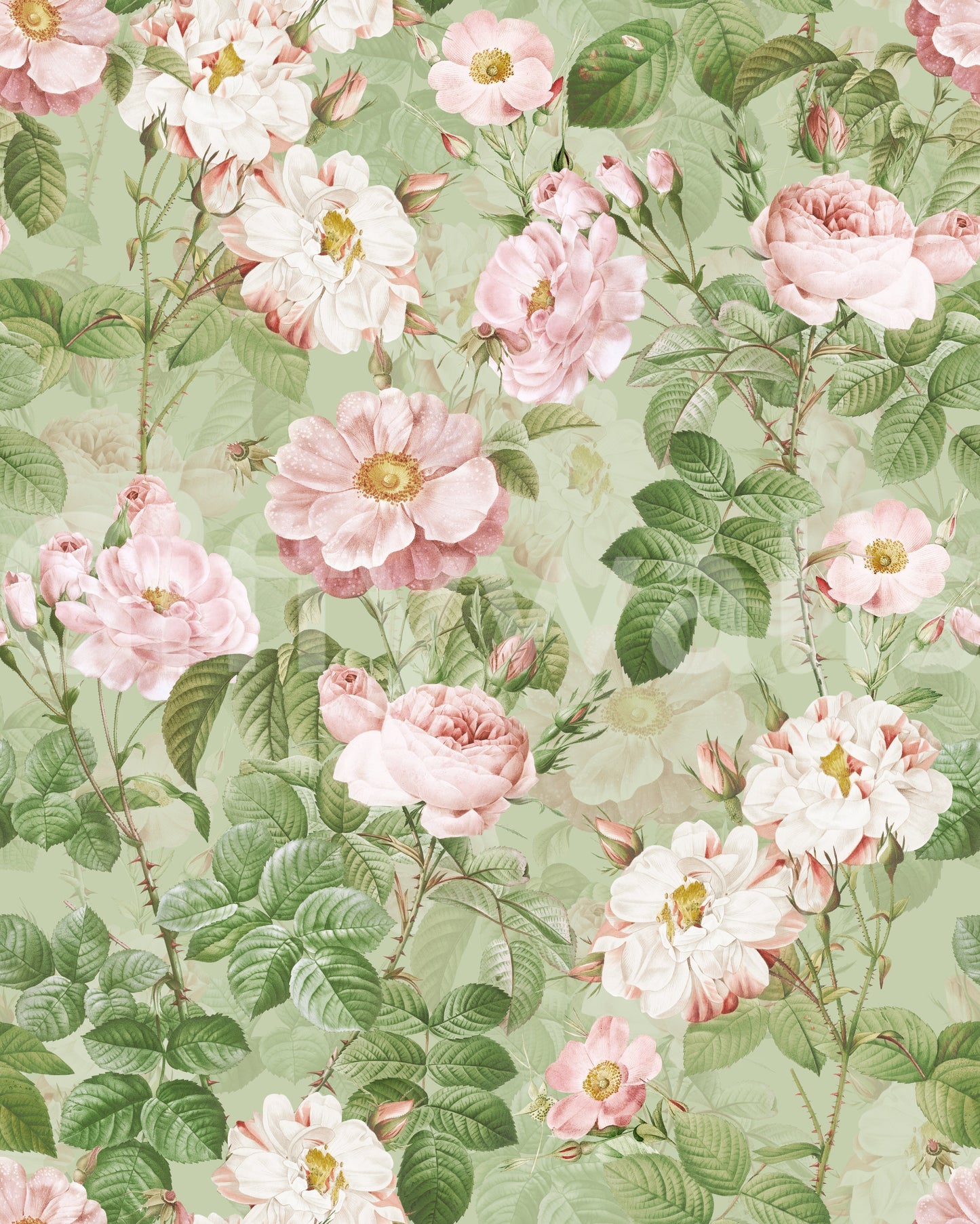 Vintage Rose Romance Wallpaper