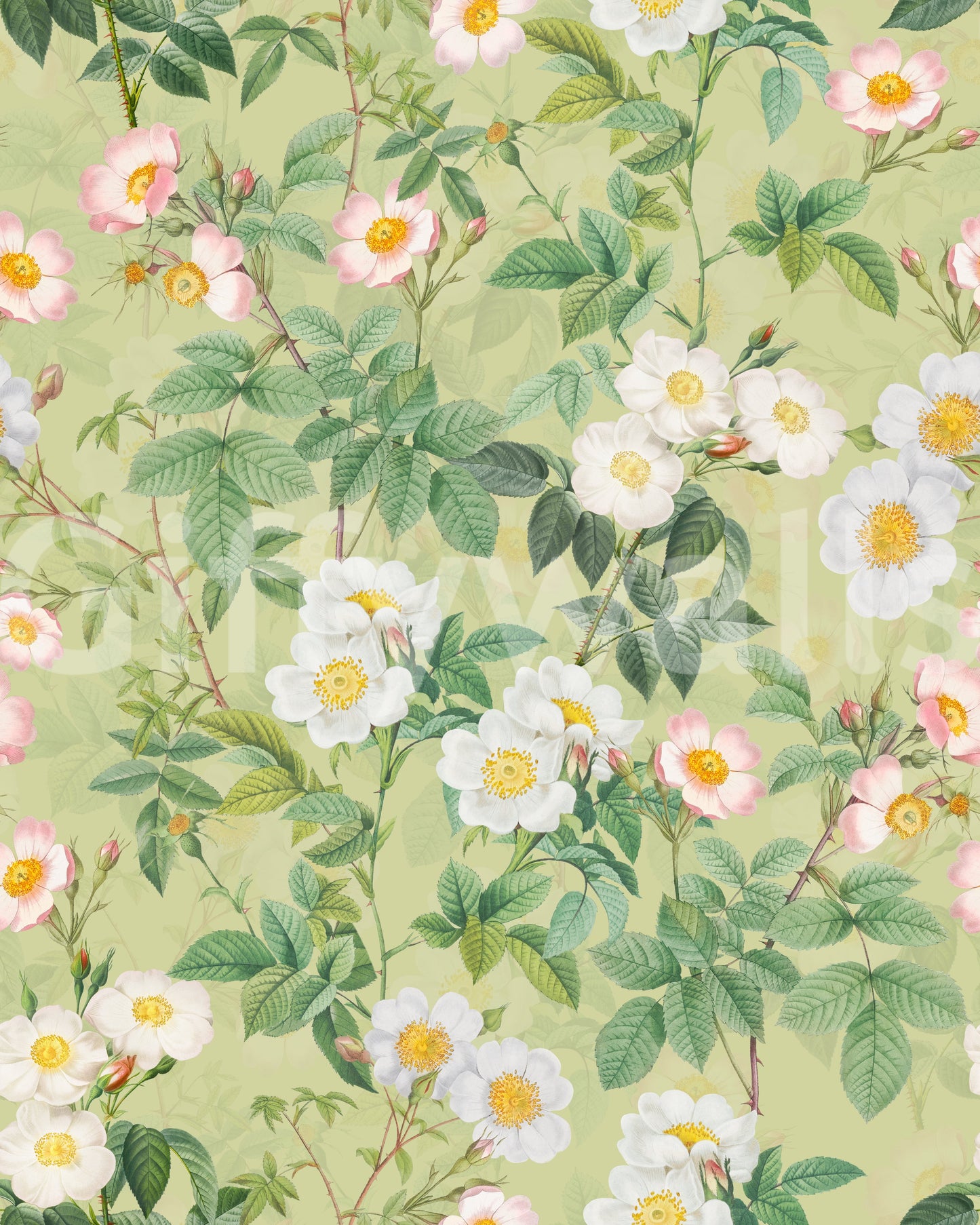 Vintage Rose Garden 3 Wallpaper