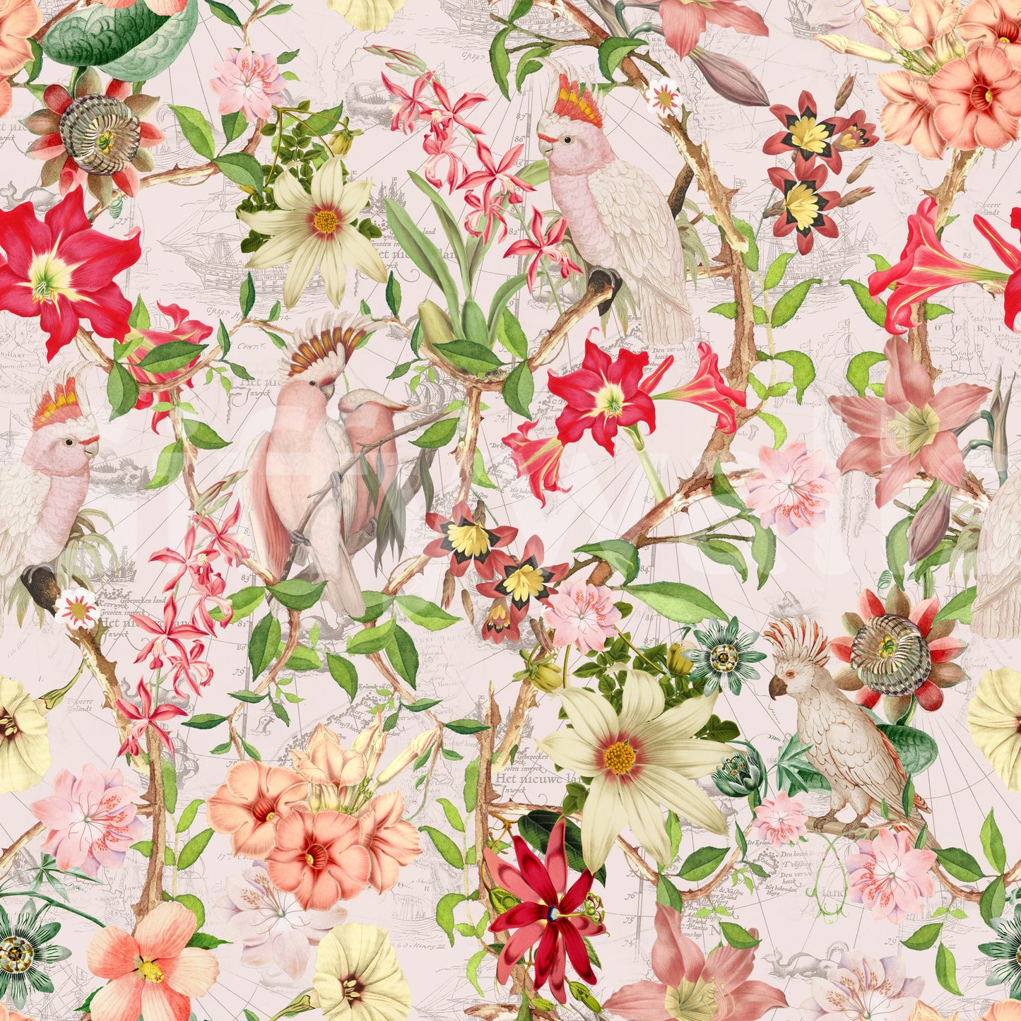 Pink Paradise wallpaper for a gentle vibe