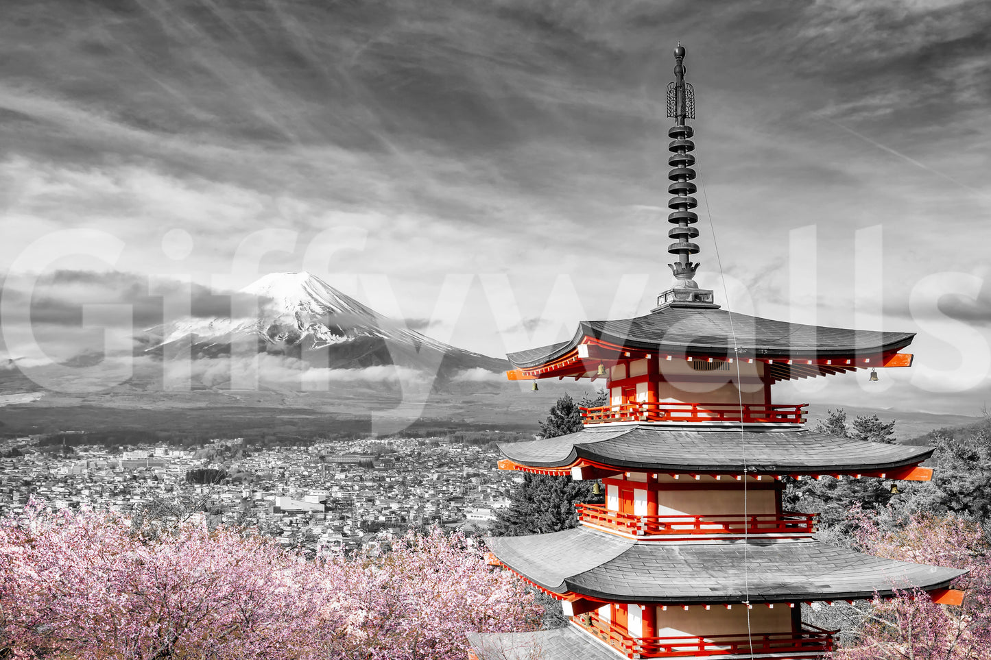 Wall mural of Chureito Pagoda and Mount Fuji under cherry blossoms.