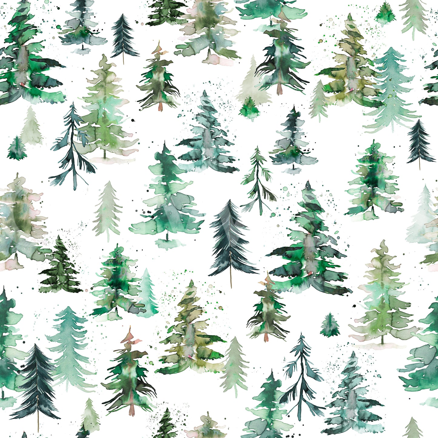 Elegant watercolor forest trees with spruces