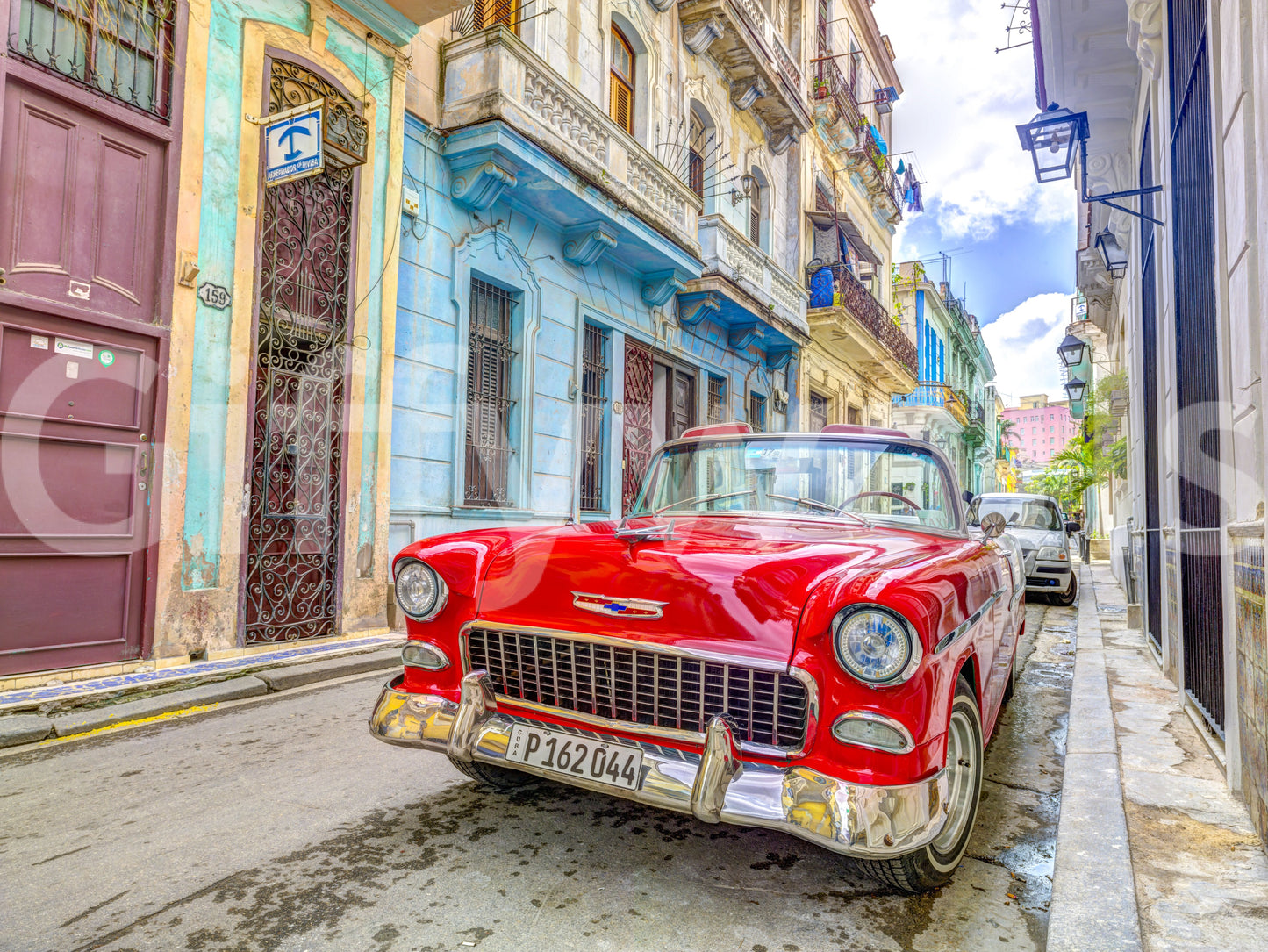 Beautiful palm trees and ocean on Cuban cruise wall mural.