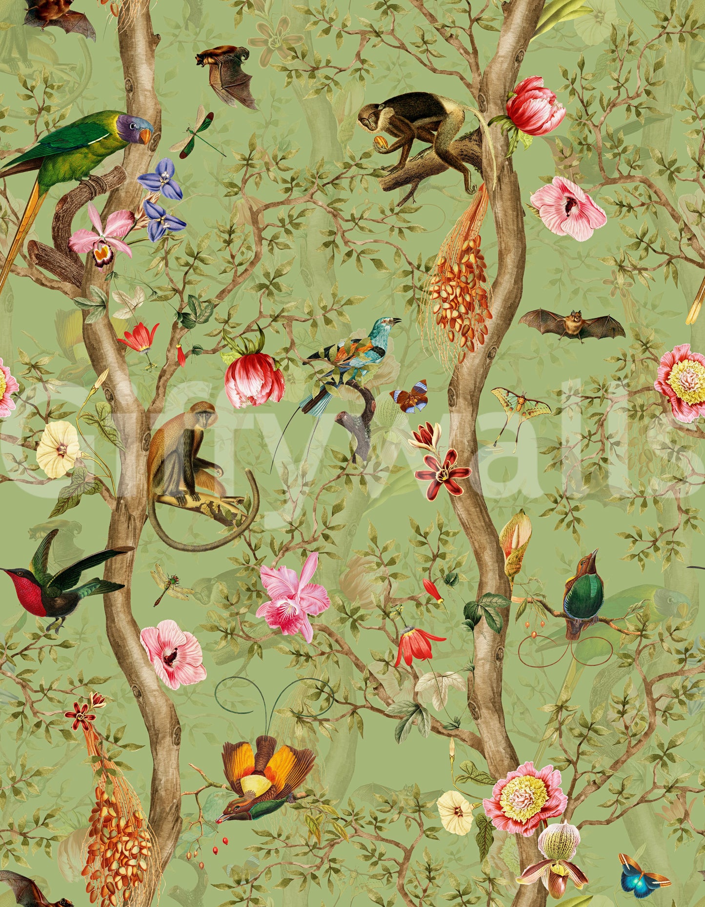 Bold Tropical Paradise Birds 4 mural for feature walls