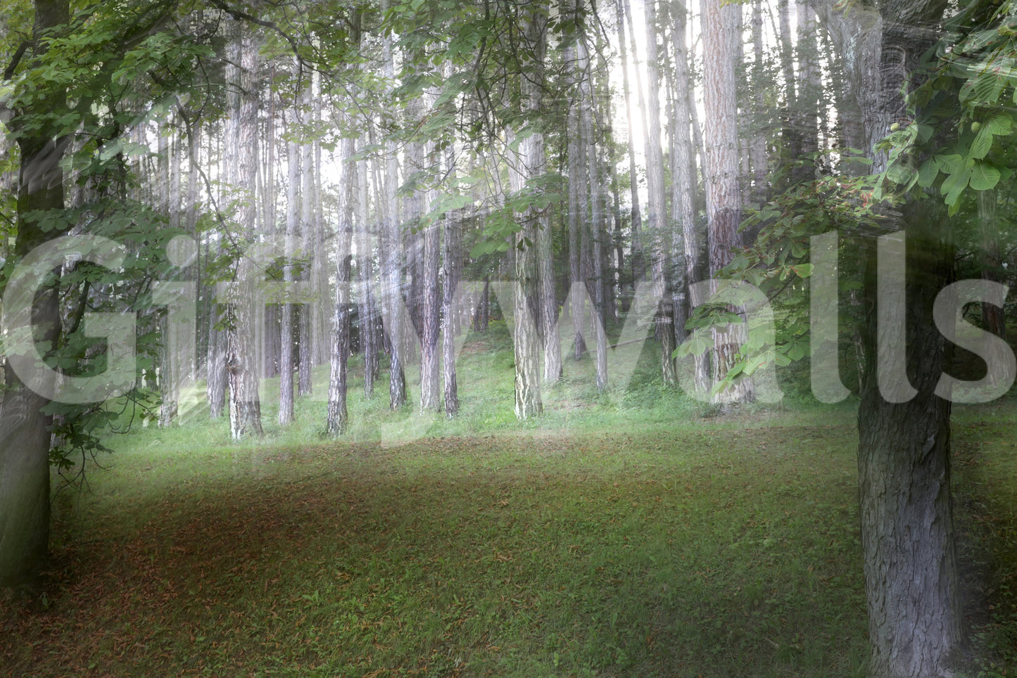 Greenery wall art mural perfect for nature lovers