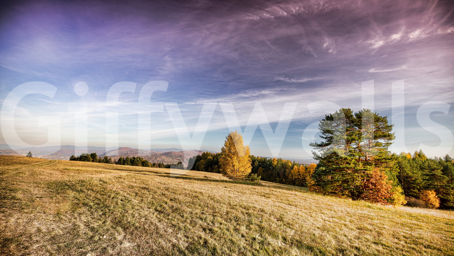 Captures the essence of a peaceful autumn meadow.