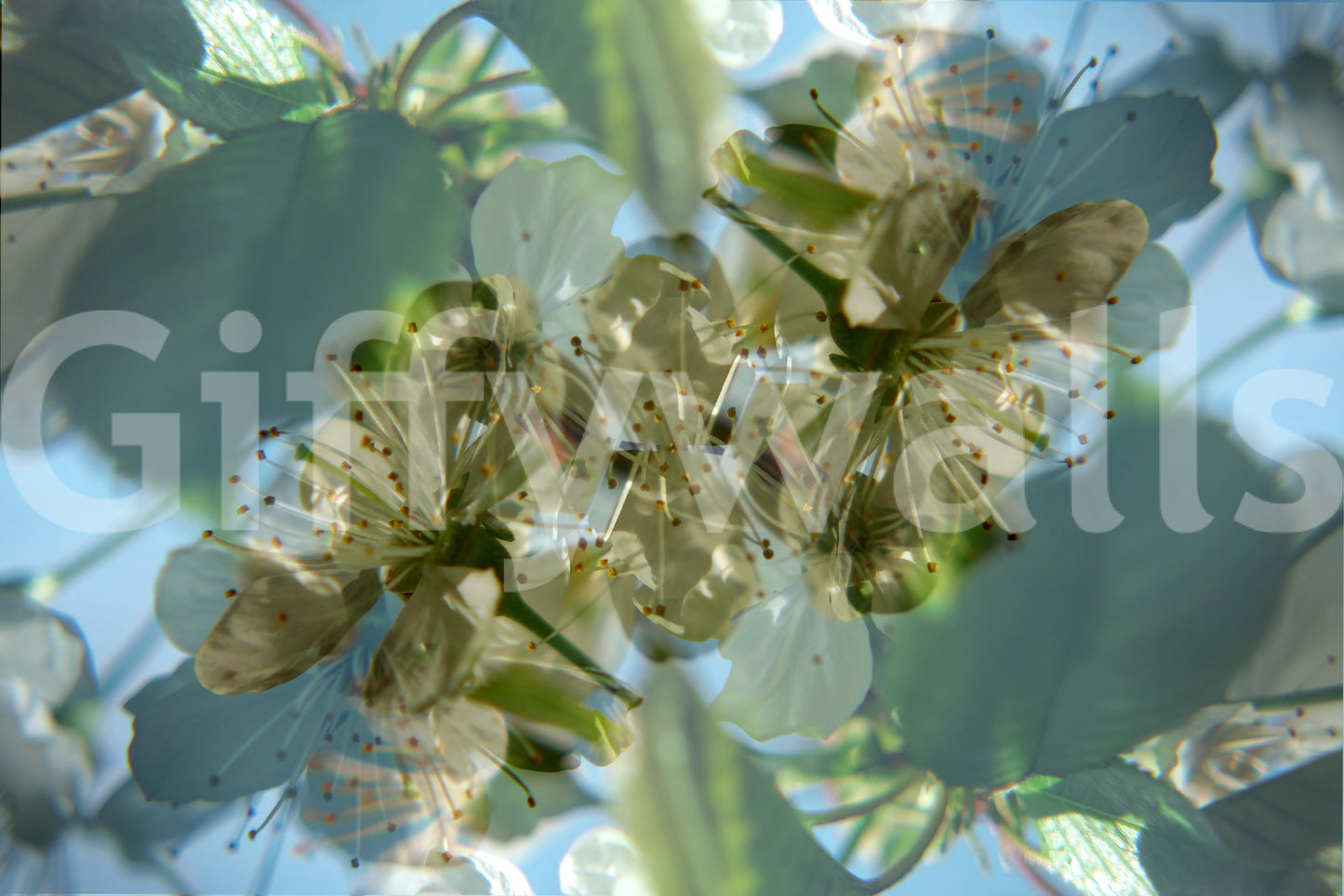 The Ethereal Floral mural gives the space a delicate and artistic touch.