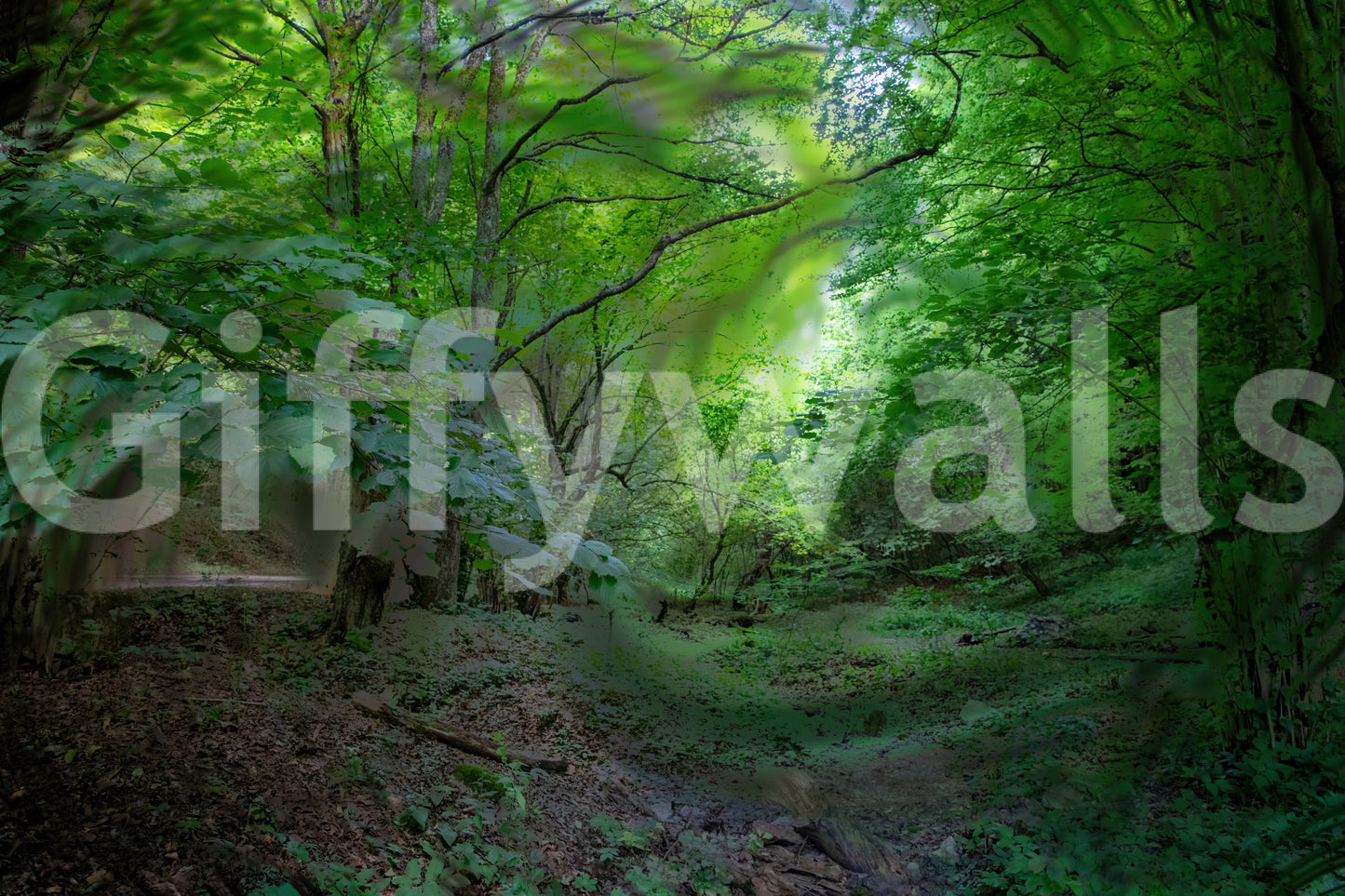 The path winds into the distance.