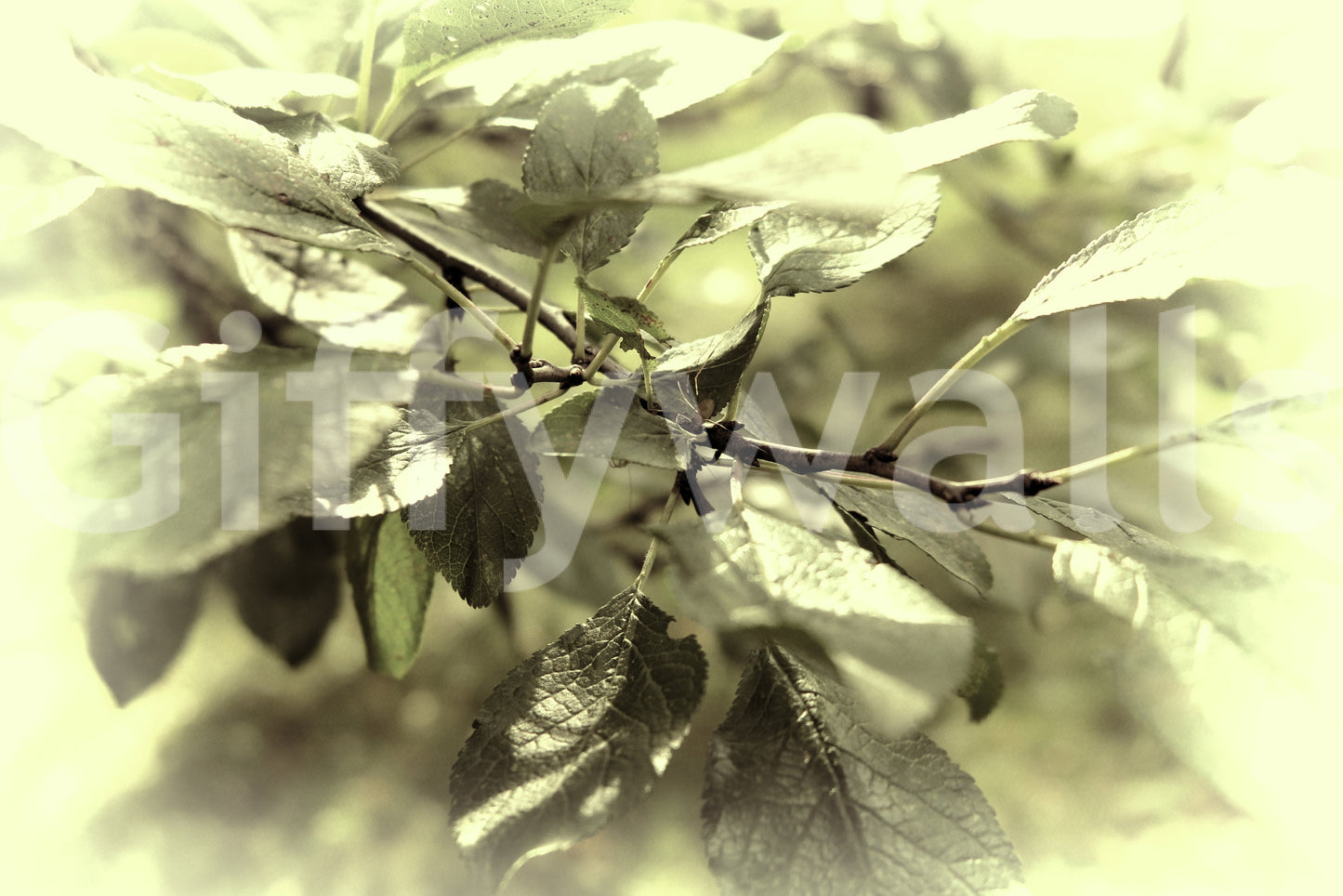 Inviting and calming outdoor feel.