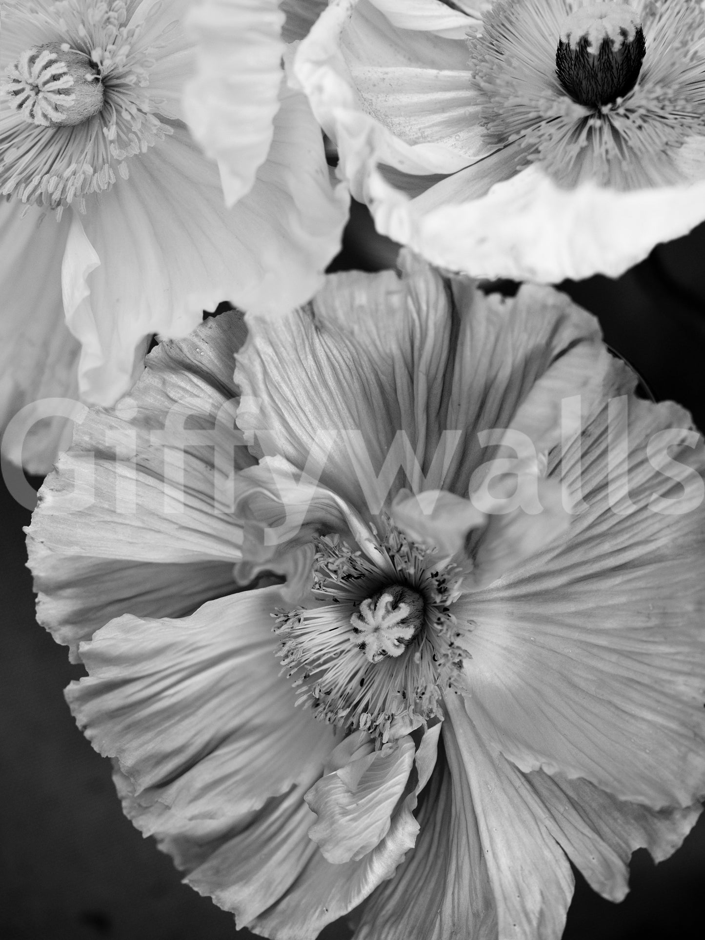 Focus on light and shadow.