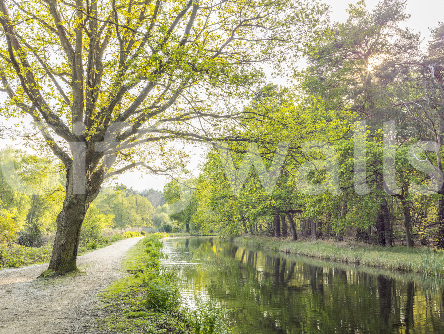 A harmonious statement piece.