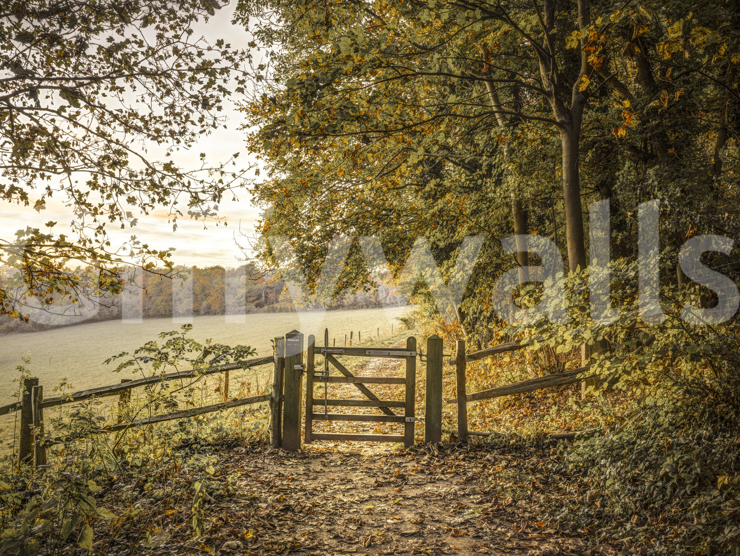 Wall decor evoking the magic of fall.